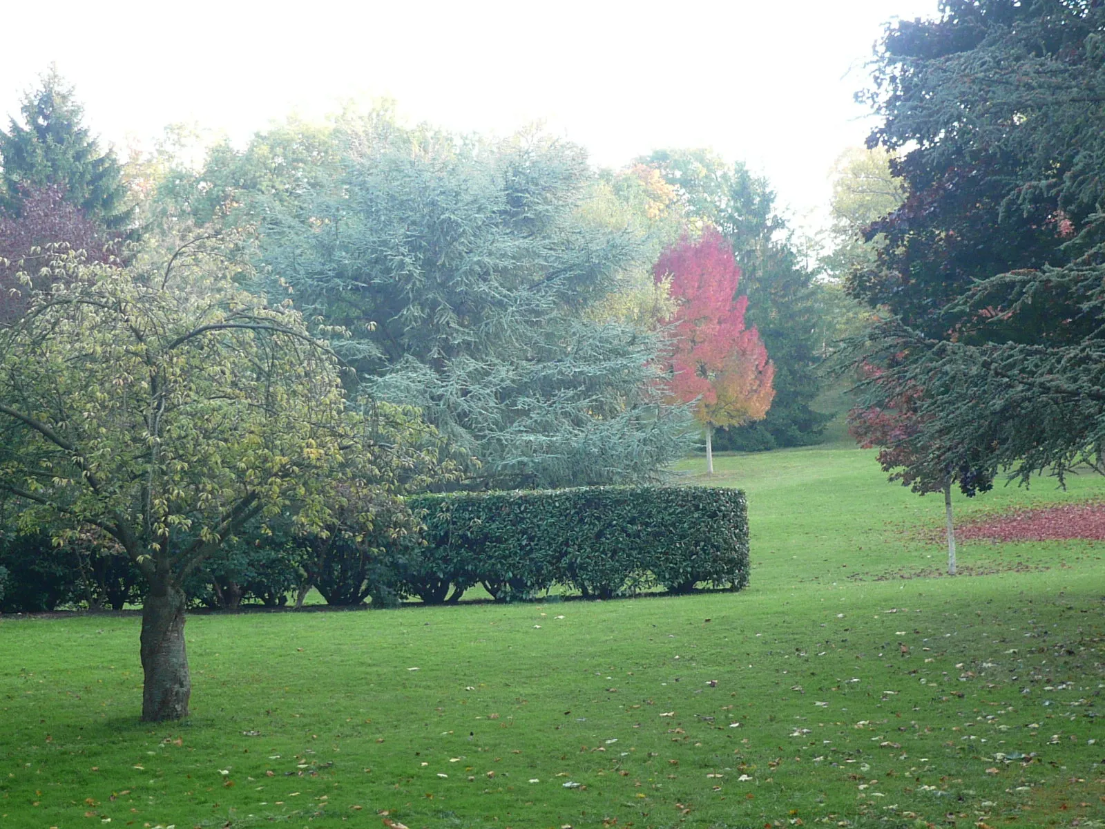 Photo showing: Couleurs d'automne au parc Meissonier.