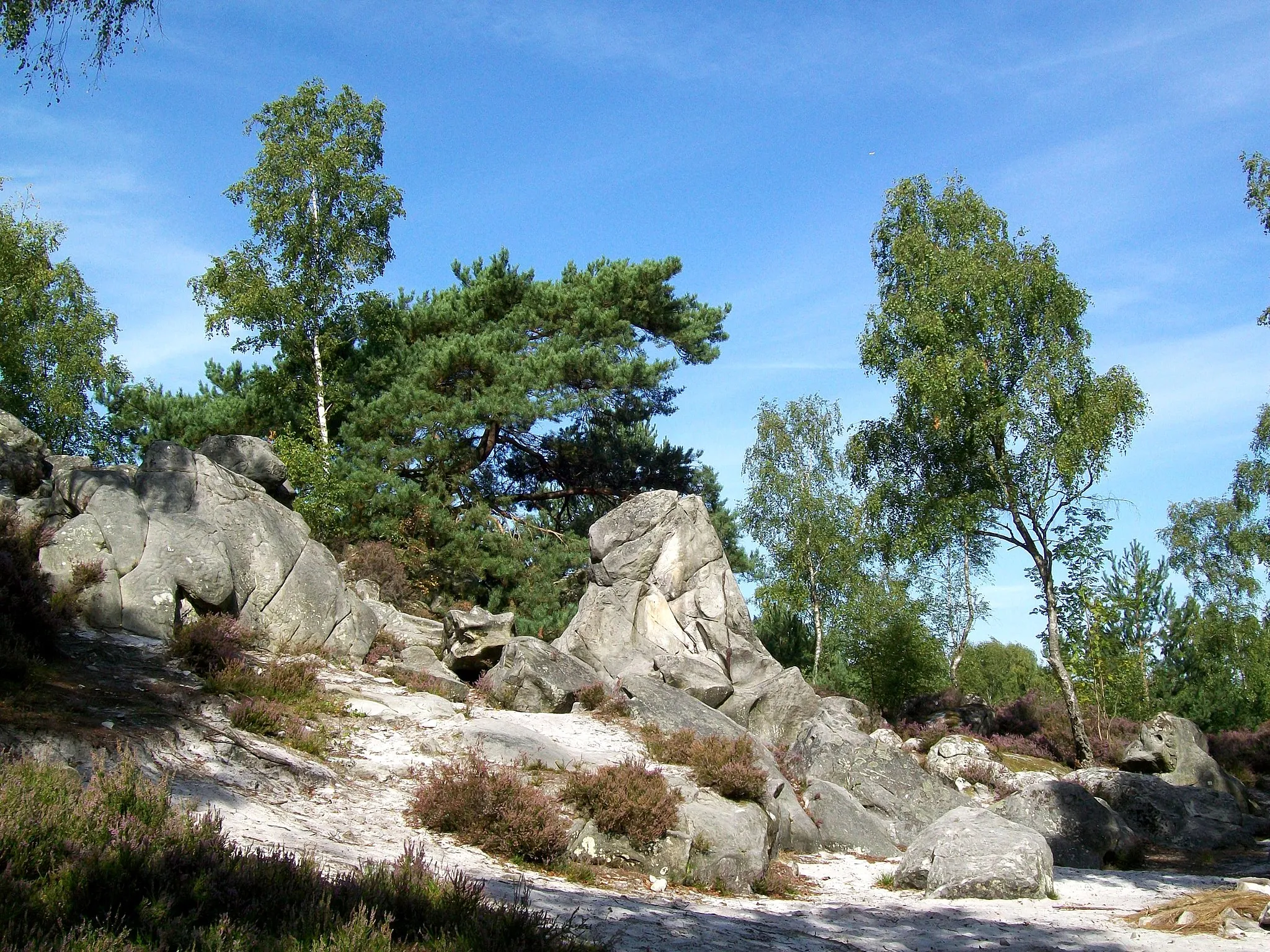 Photo showing: Les Bruyères de Frais-Vent dans le bois de Montlognon, ancien site d'extraction de blocs de grès, représentent la principale curiosité géologique du massif forestier d'Ermenonville.