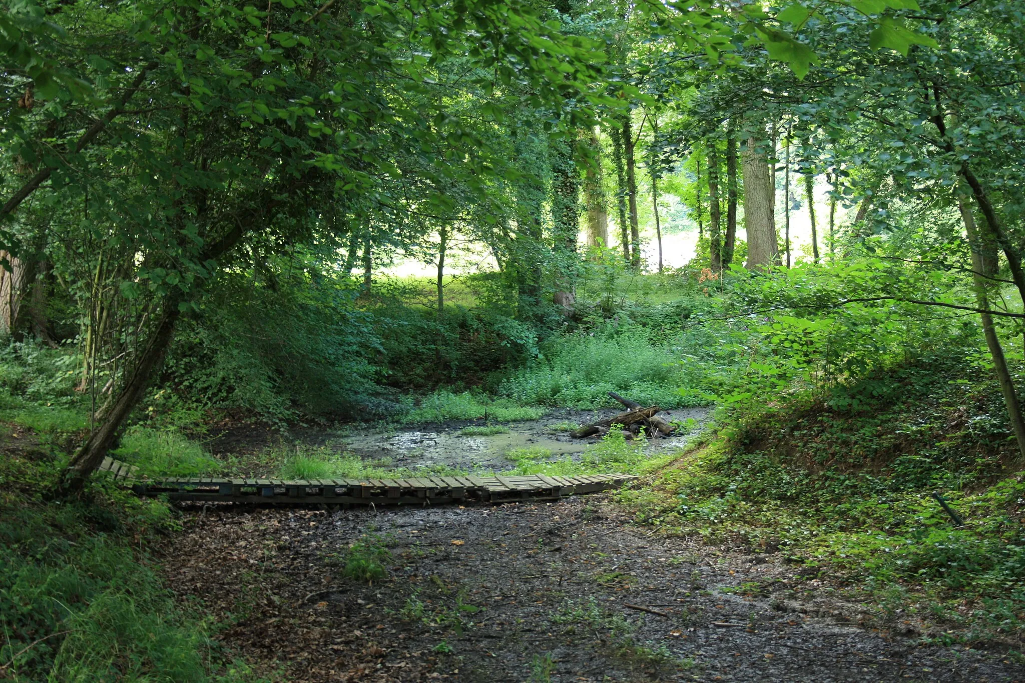 Photo showing: Dry river in the Désert de Retz park in Chambourcy, France