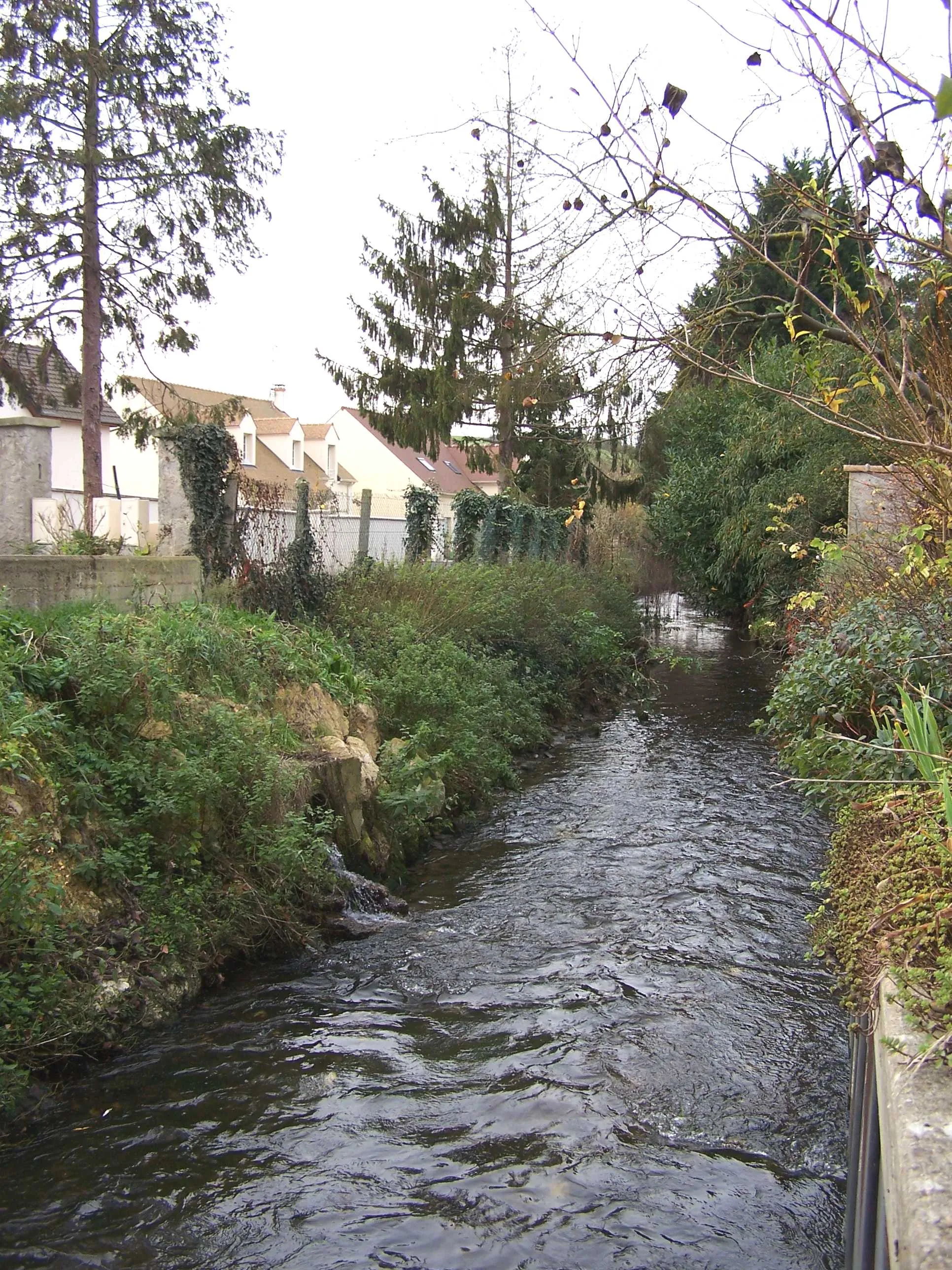 Photo showing: Ru de Gally à Chavenay (Yvelines, France)