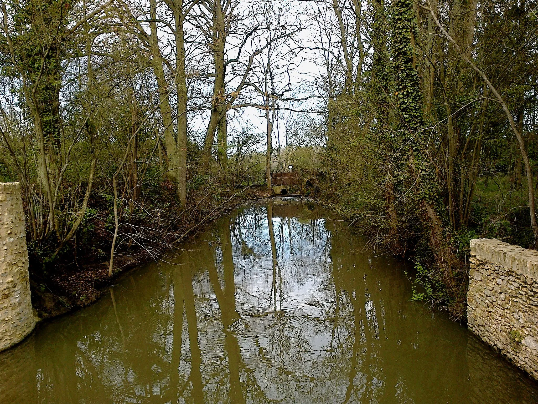 Photo showing: Yvelines Chateau De Villiers Le Mahieu Canal Lateral Droit