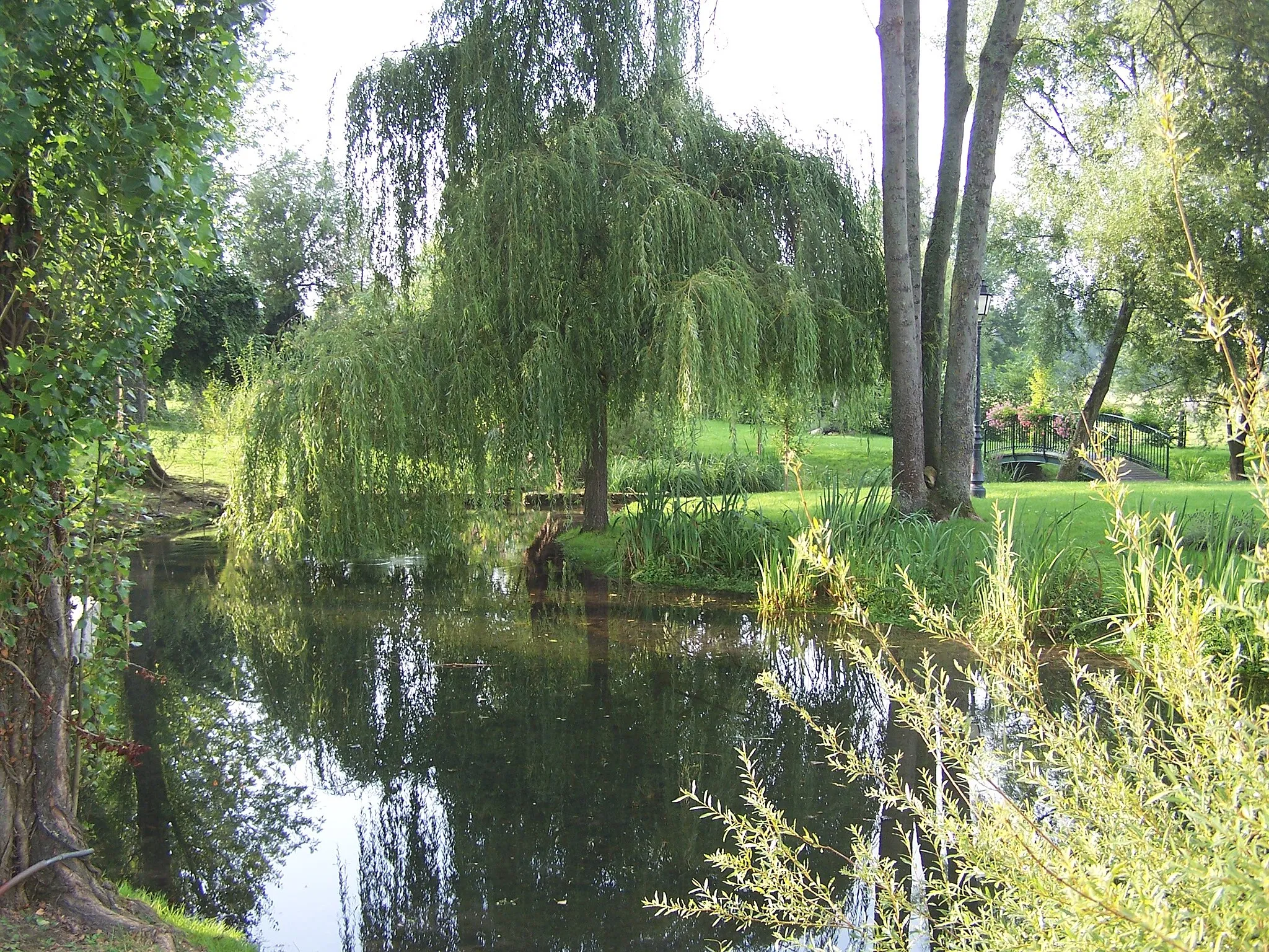 Photo showing: Source of the Vaucouleurs River in Boissets (Yvelines, France)