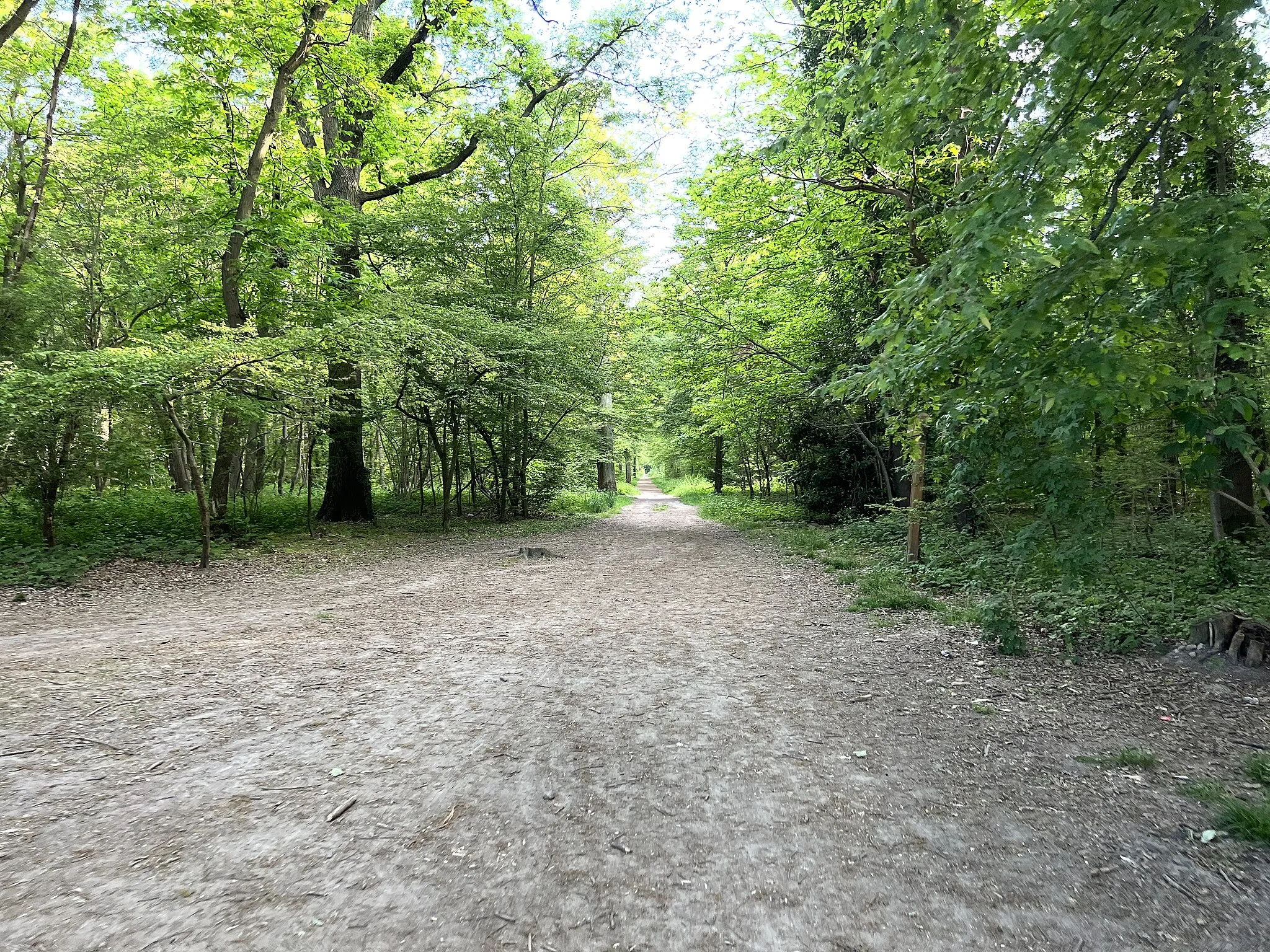 Photo showing: Route du Grand Wirtemberg, Limeil-Brévannes.