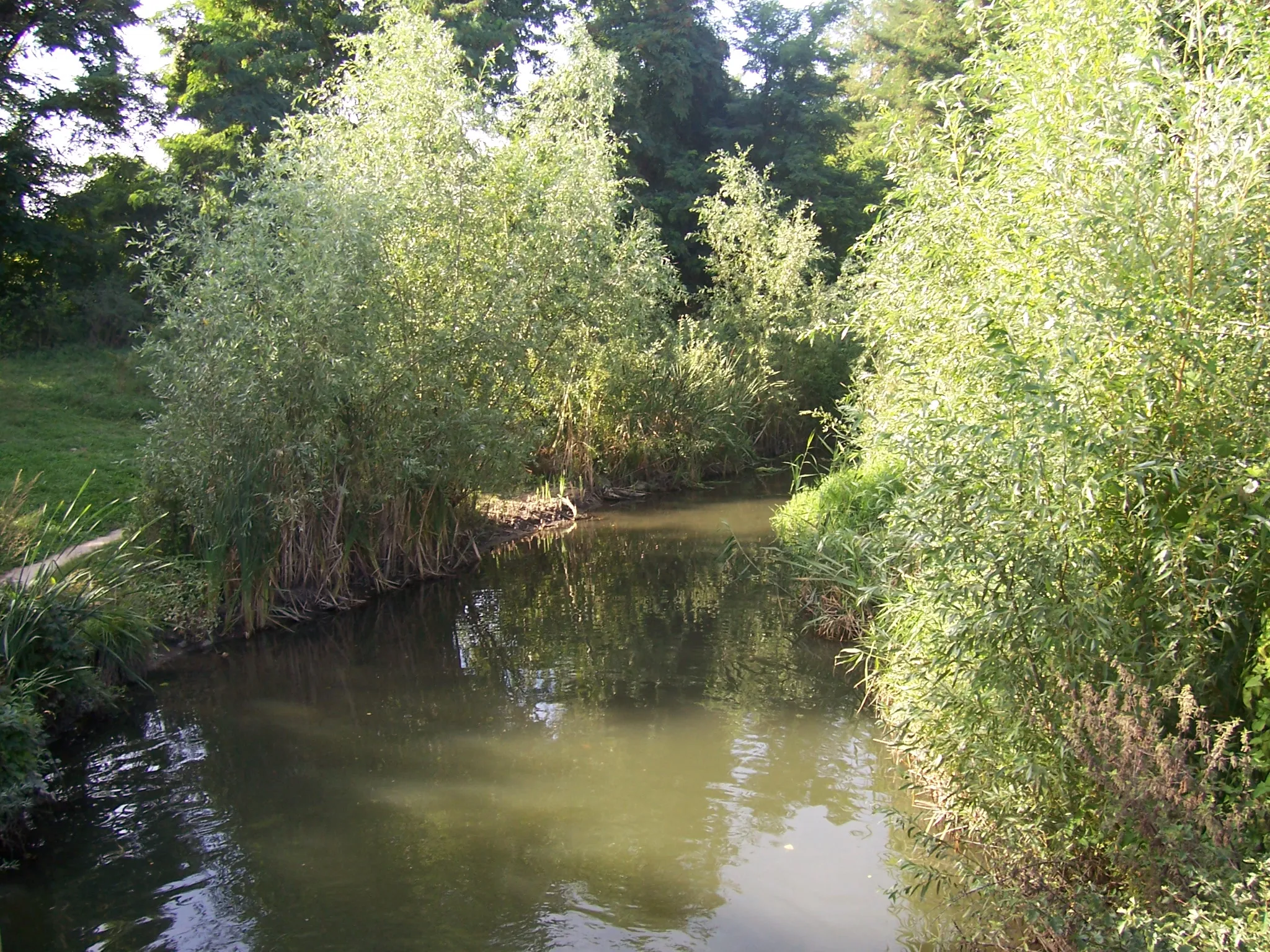 Photo showing: La Bièvre à Fresnes (Val de Marne)

Photo Mica 2006