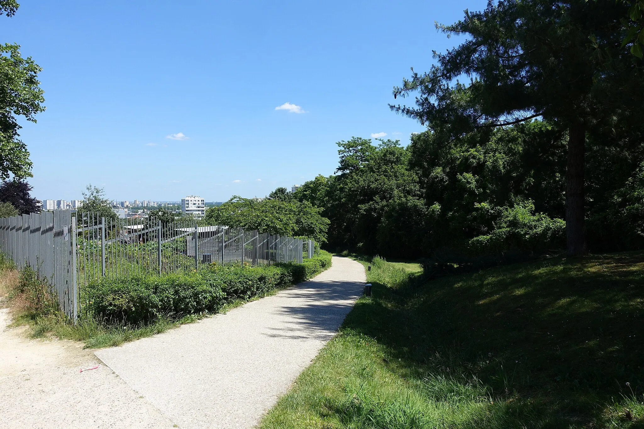 Photo showing: Forest @ Parc de Romainville
Parc de Romainville, Seine-Saint-Denis, France.