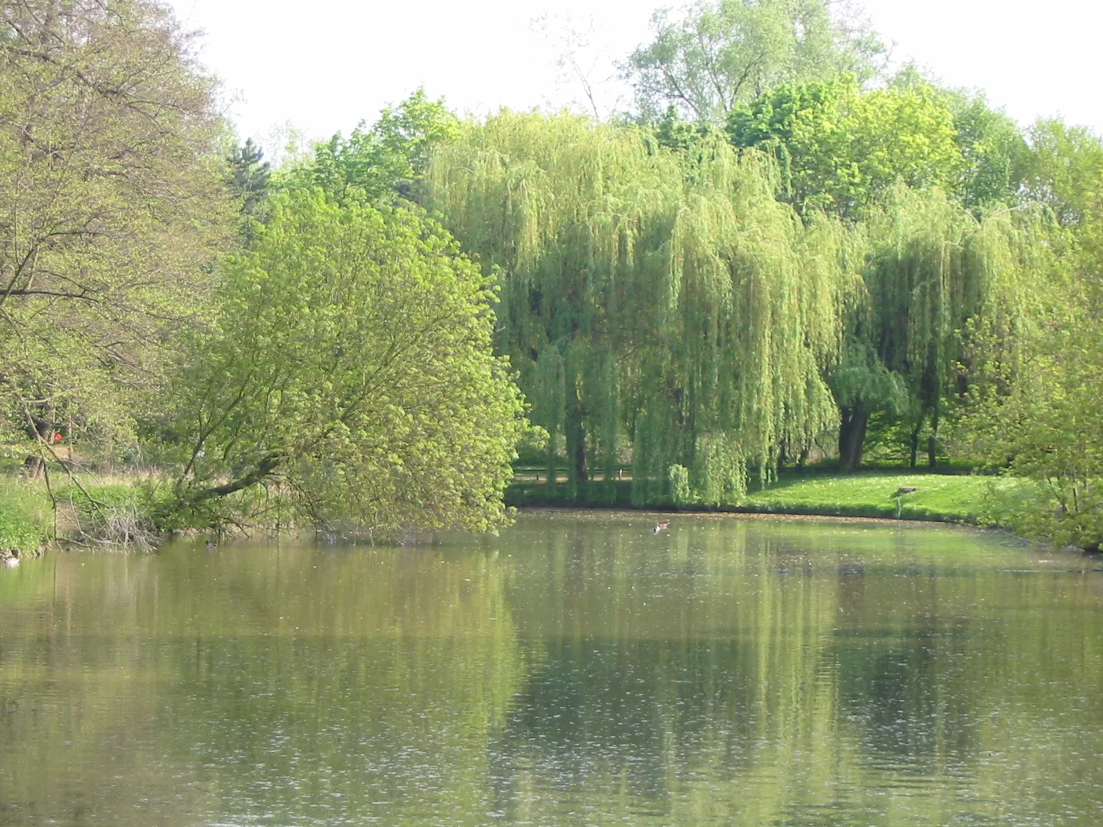 Photo showing: Le parc de Reigate and Banstead à Brunoy (Essonne).
