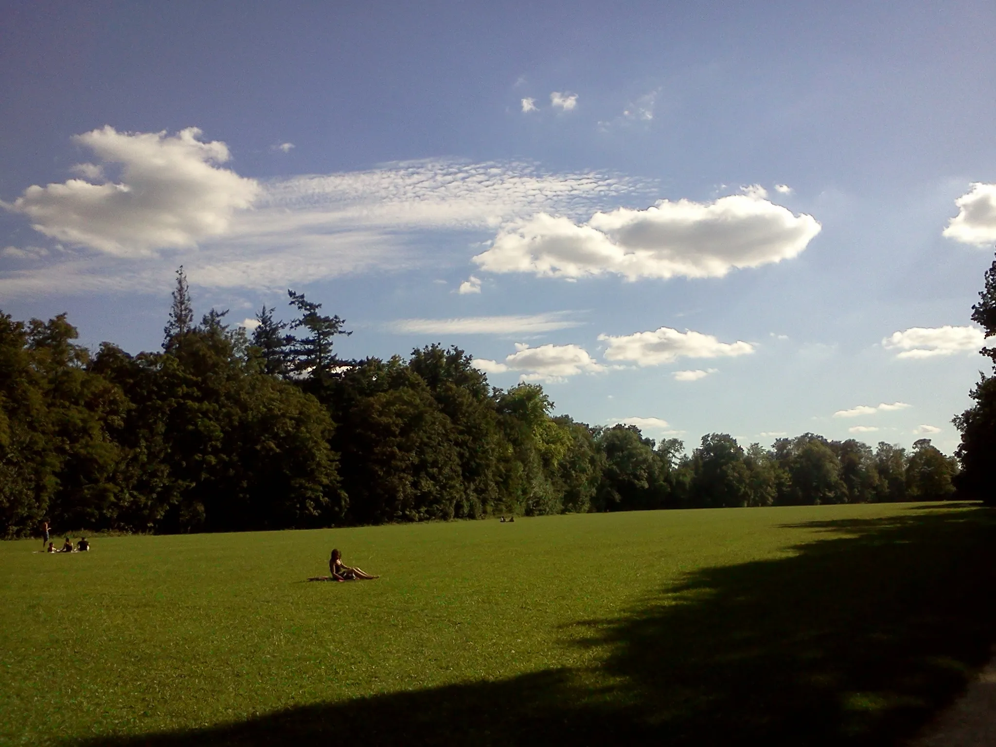 Photo showing: Pelouse de la ville de St-Pierre du Perray