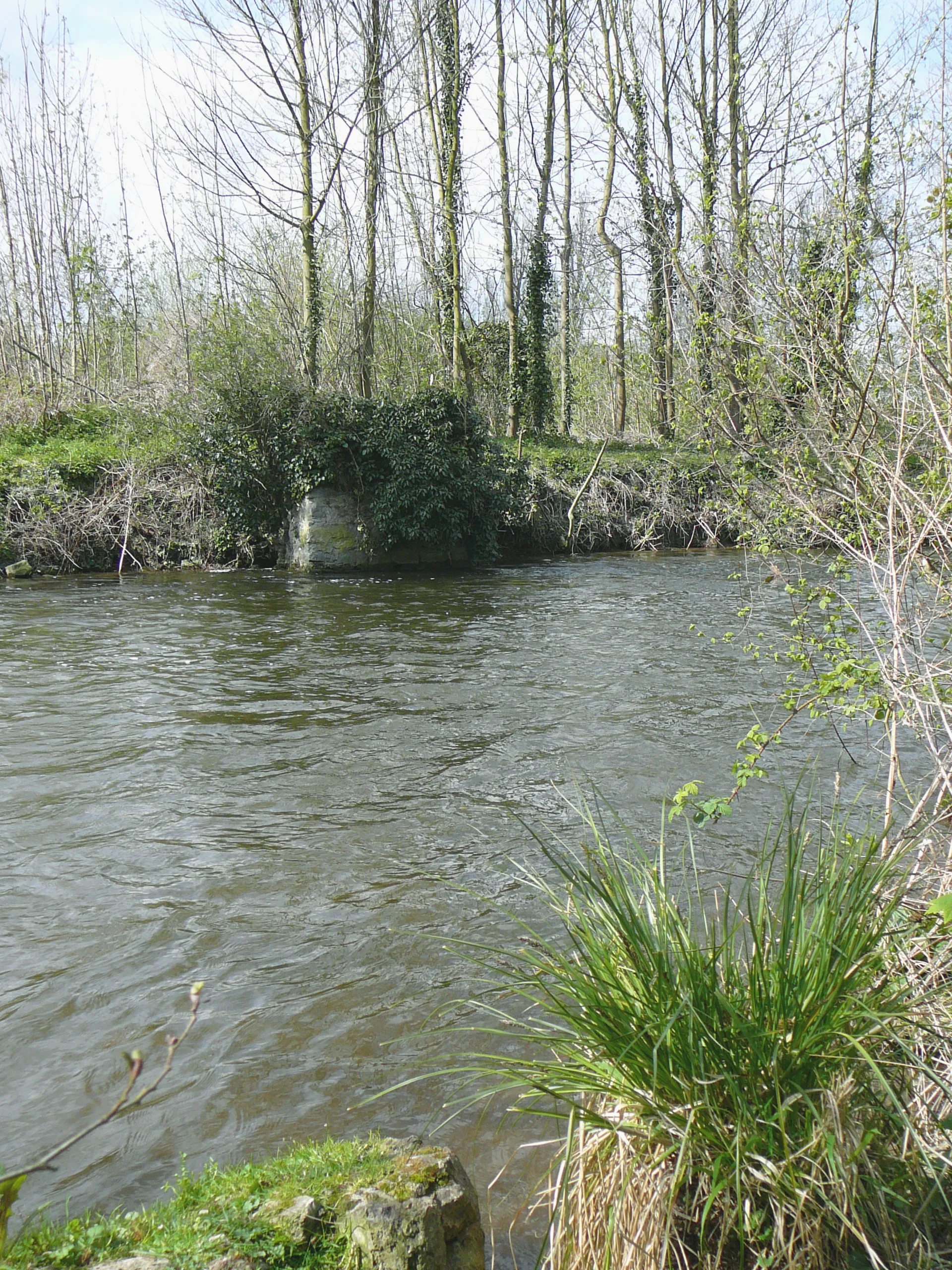 Photo showing: Essonne (rivière) sur les berges de Ballancourt-sur-essonne