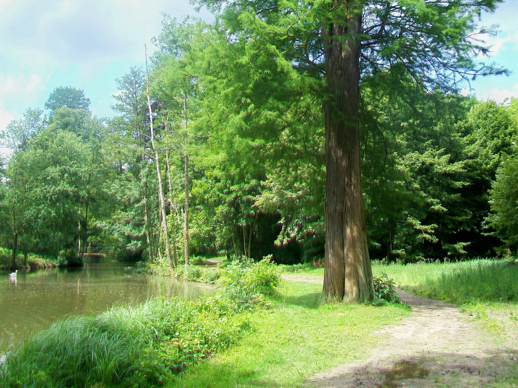 Photo showing: Chemin de promenade et rivière anglaise.