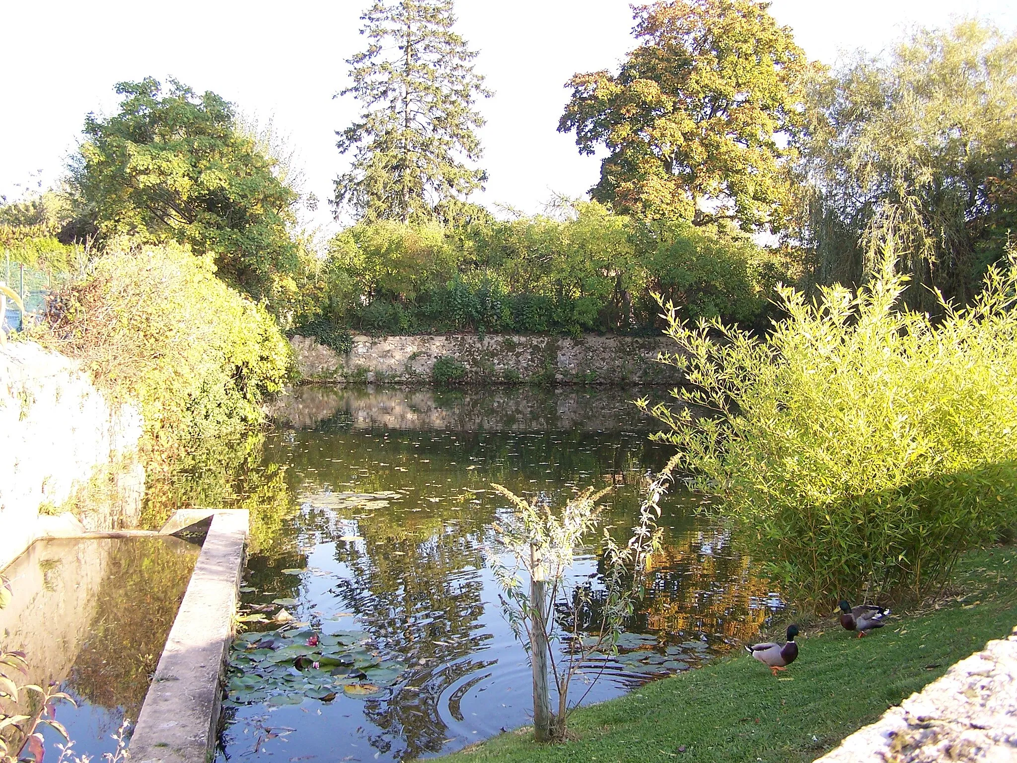 Photo showing: Mare à Neauphle-le-Château (Yvelines, France)