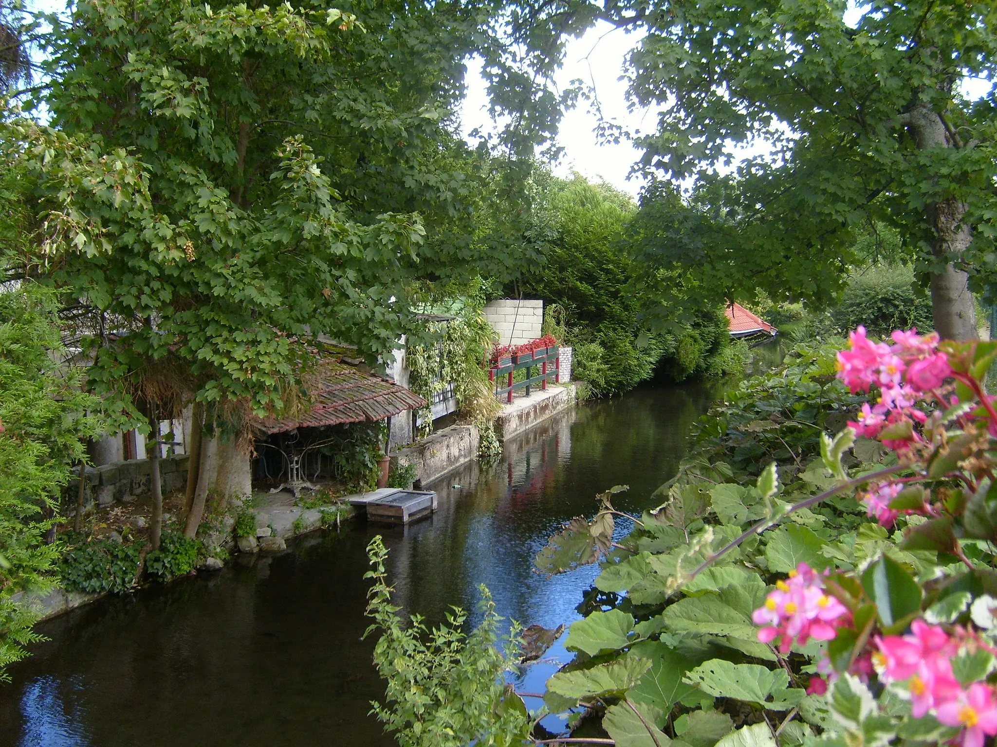 Photo showing: A channel of the River Loing in Souppes-sur-Loing