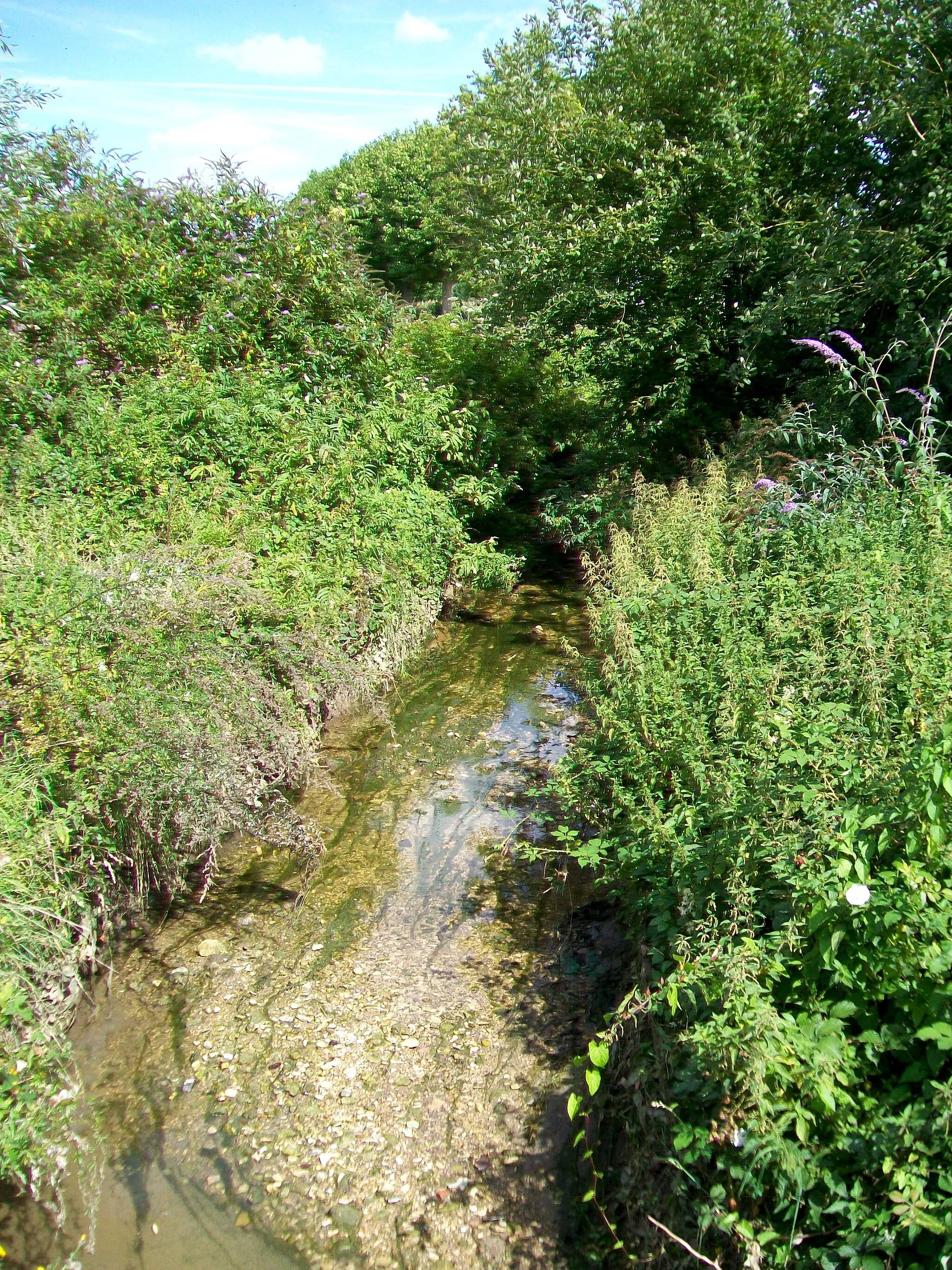 Photo showing: Le Rhin, ruisseau à l'ouest du village.