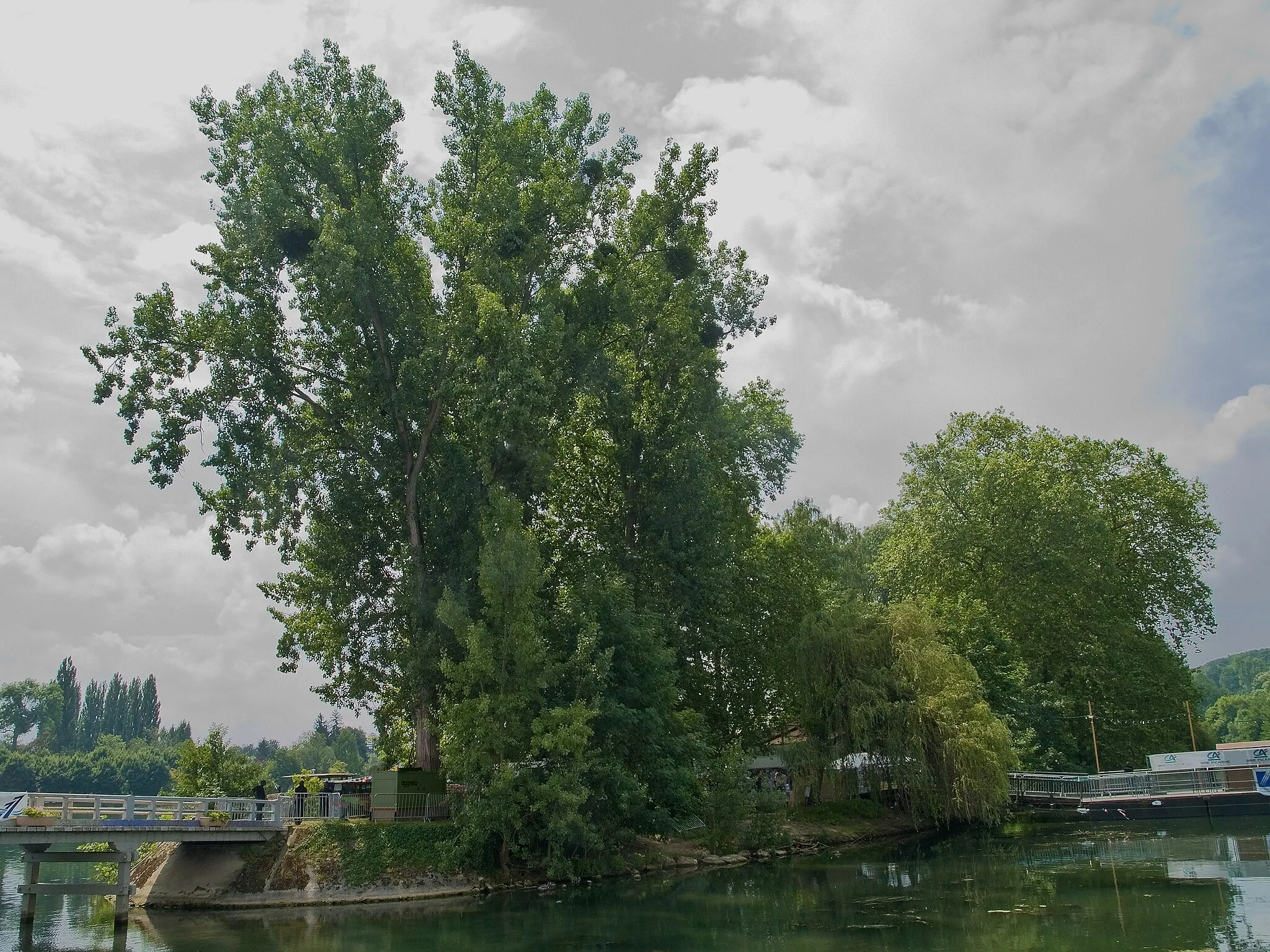 Photo showing: 'Île du Berceau' (="Cradle Island") on the Seine River in Samois-sur Seine, where the Django Reinhardt Festival in Samois-sur-Seine (Seine-et-Marne, France) took place each year from its beginning in 1983 to 2015 (since in chateau de Fontainebleai.
