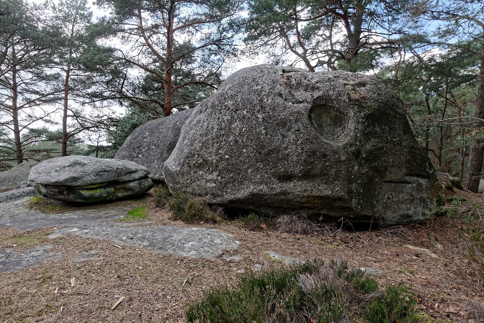 Photo showing: Rochers à proximité de la route du Carnage, dans les gorges de Franchard, en forêt de Fontainebleau.