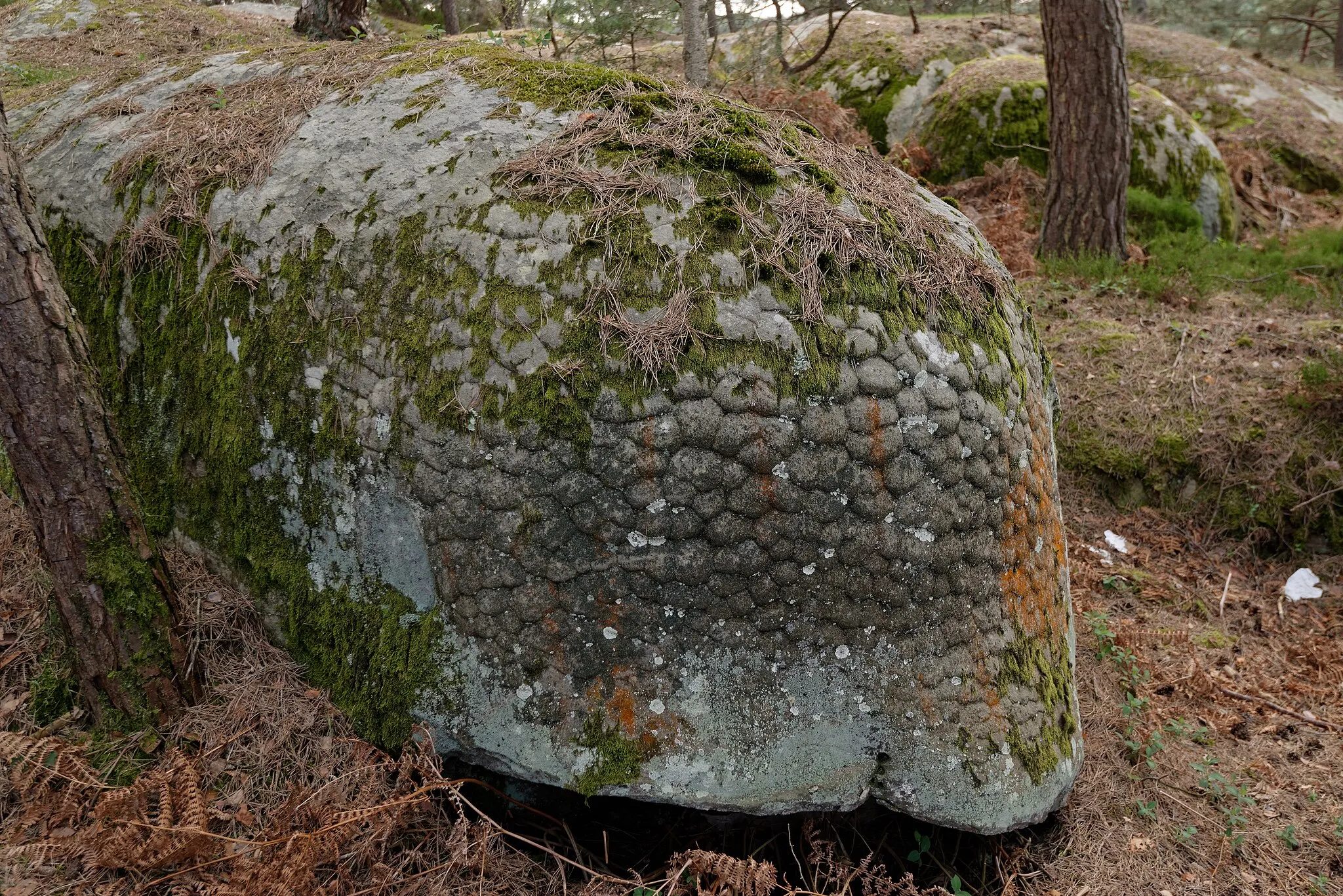 Photo showing: Rochers à proximité de la route du Carnage, dans les gorges de Franchard, en forêt de Fontainebleau.