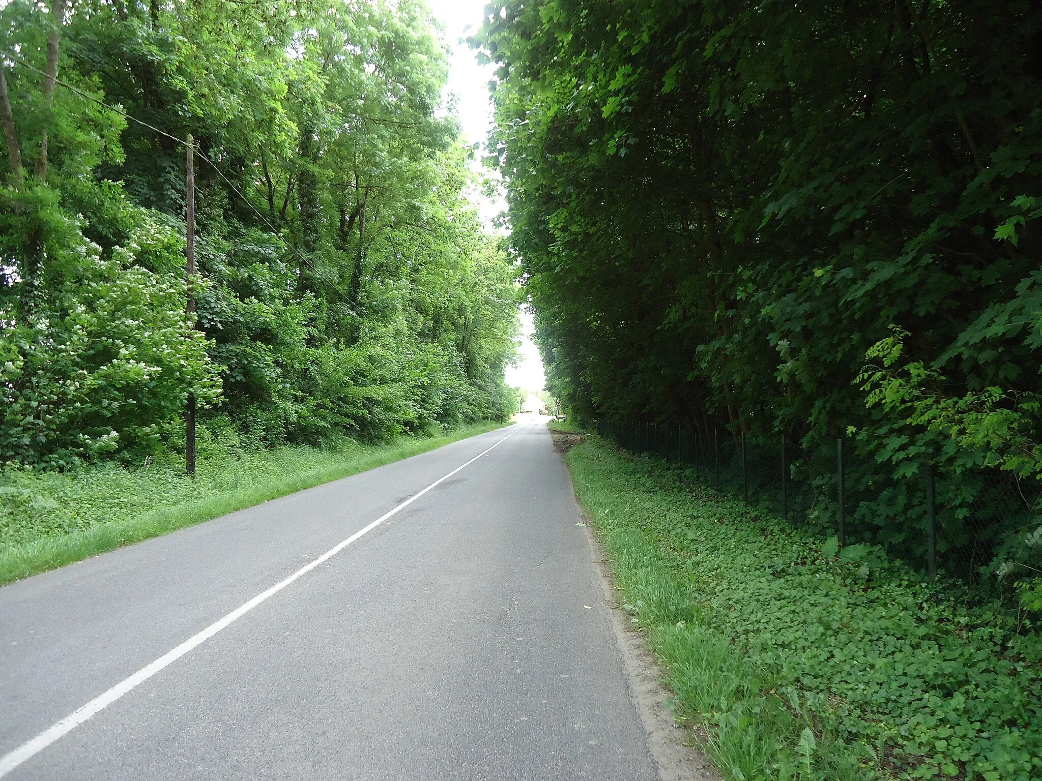 Photo showing: Actuel boulevard Charles-de-Gaulle à Rubelles (Seine-et-Marne), France, entre les stations « Trois-Moulins » et « Rubelles - Voisenon » de l'ancienne ligne de tramway de Verneuil-l'Étang à Melun.