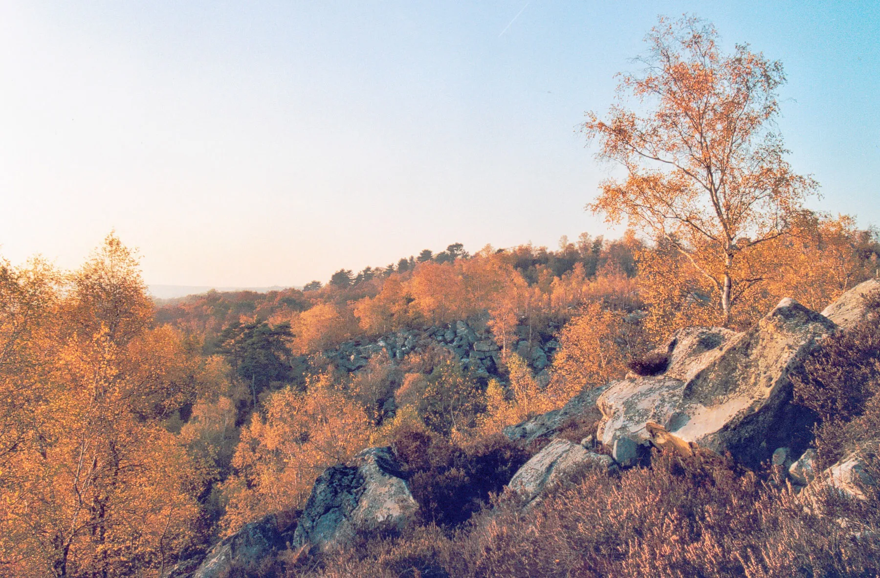 Photo showing: La forêt de  Fontainebleau à l'automne
Auteur : GIRAUD Patrick