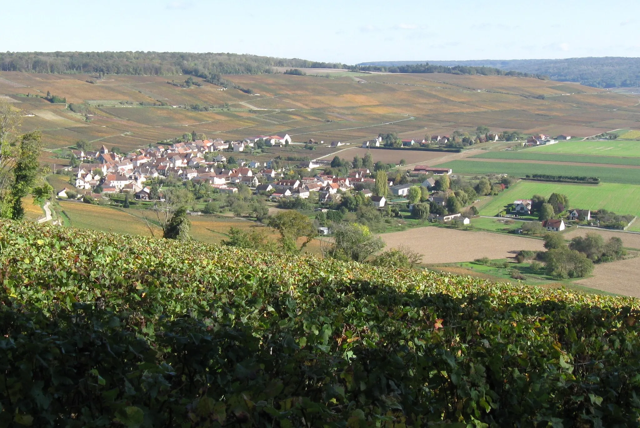 Photo showing: Le village de Bonneil entouré de vignobles. (département de l'Aisne , région Picardie)