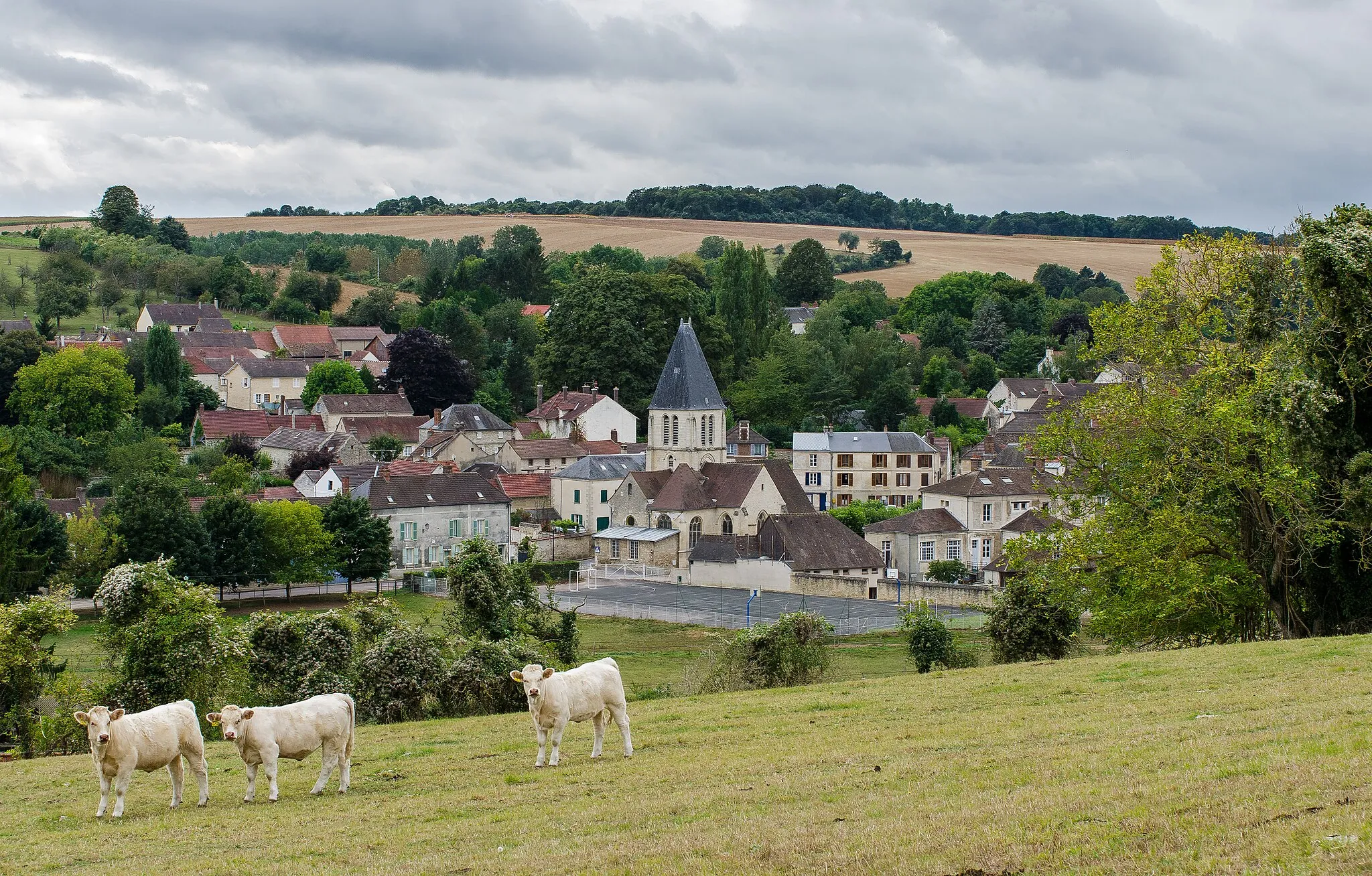 Photo showing: Vue générale de Chaussy, dans le Vexin français (Val d'Oise).