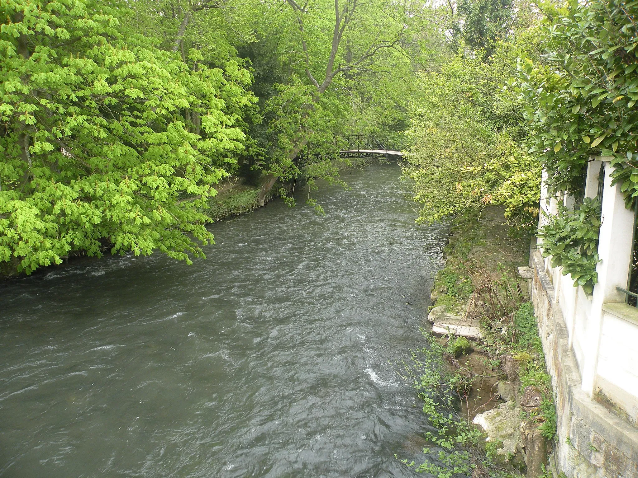 Photo showing: L'Epte à Bray-et-Lû