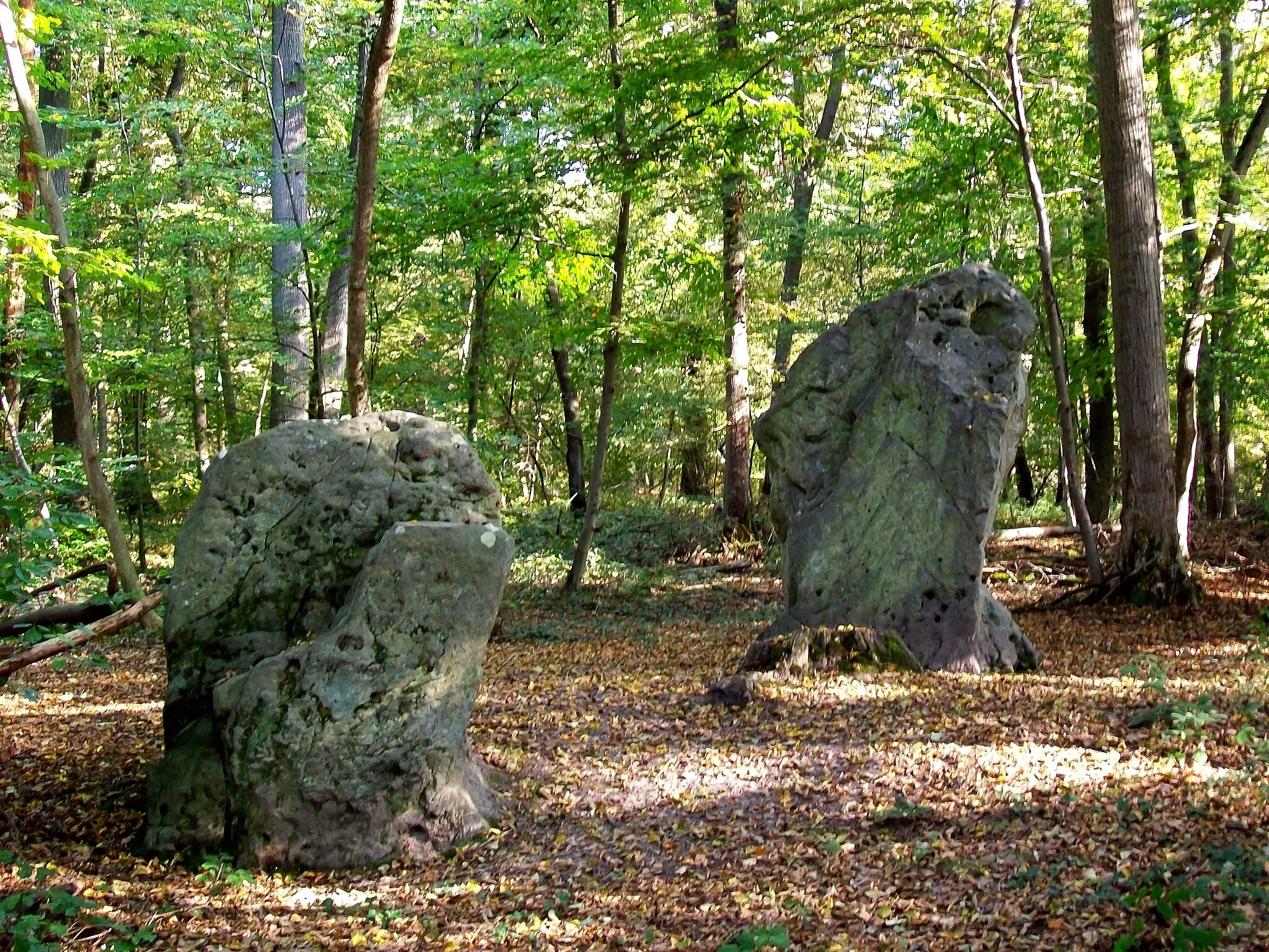 Photo showing: Les menhirs dits "des Indrolles" dans la forêt domaniale d'Halatte, situés sur le territoire de la commune de Senlis (60) dans la parcelle 296 non loin de la D 1017.