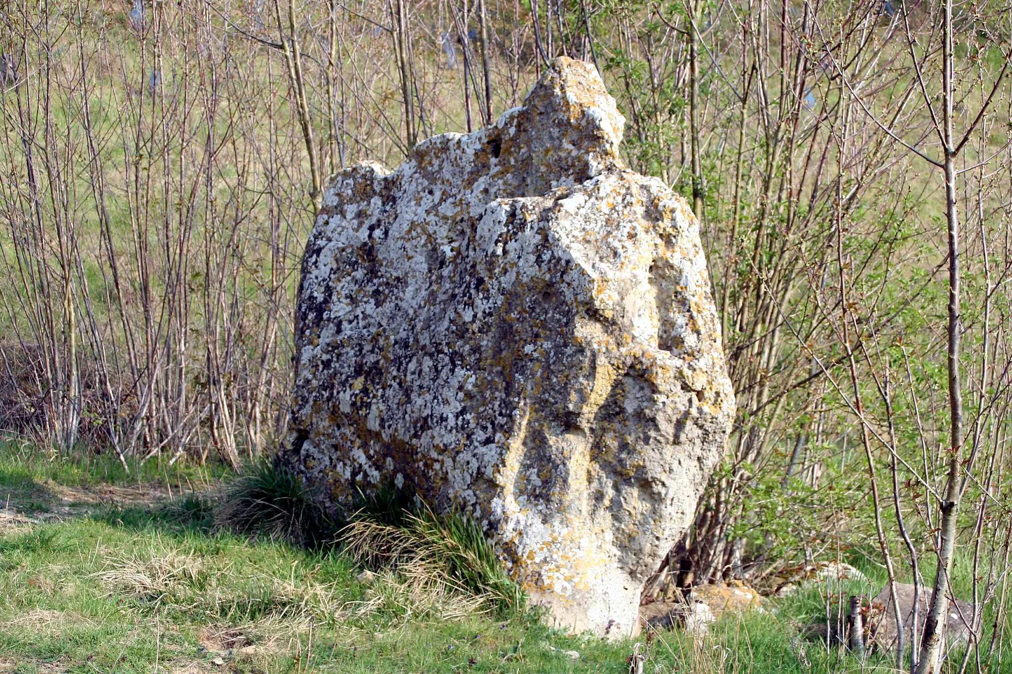 Photo showing: Menhir de la Pierre-Drette à Guitrancourt - Yvelines (France)