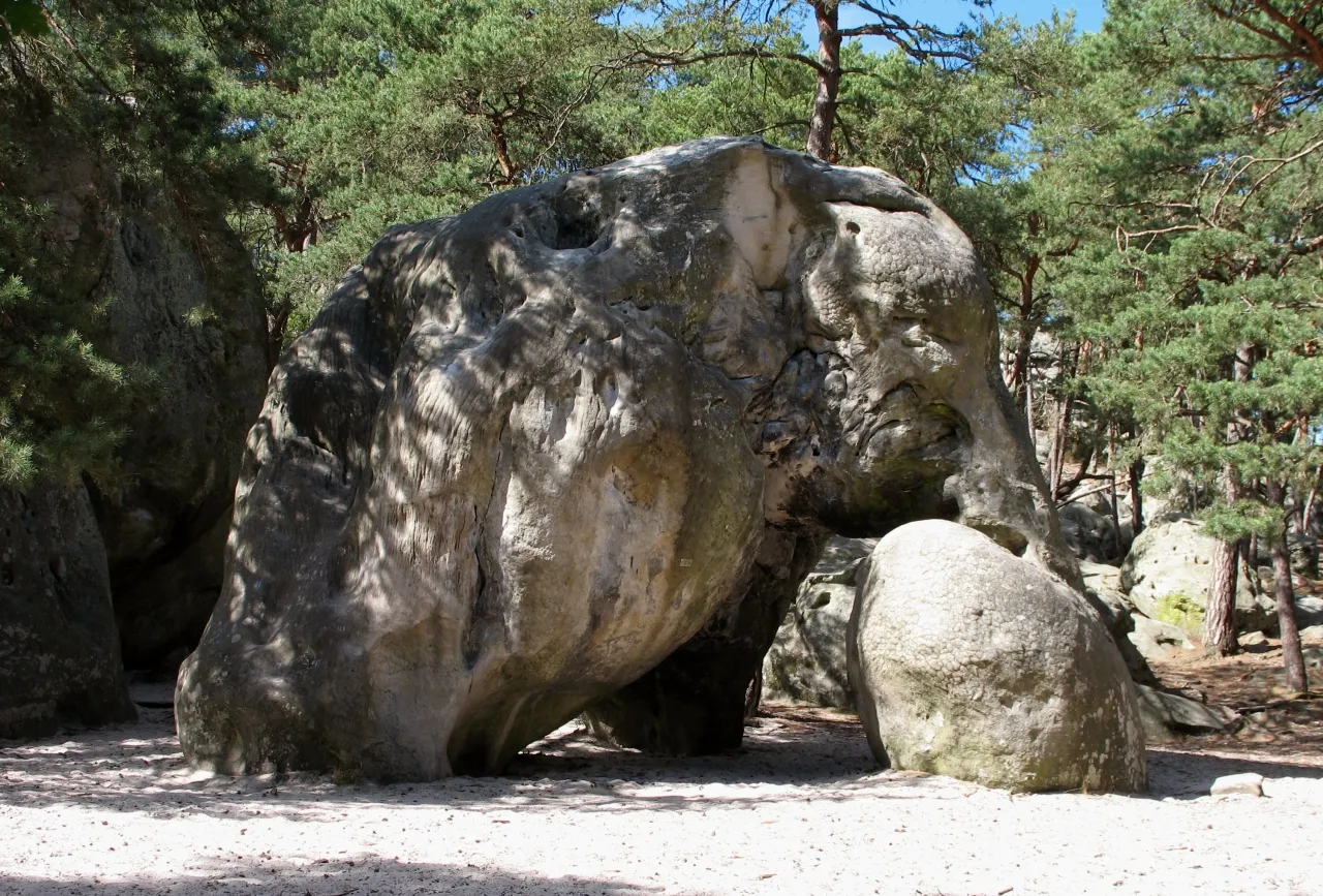 Photo showing: Elephant. Bekannte Felsformation in der Form eines Elefanten im Wald von Fontainebleau bei Paris, Larchant.
