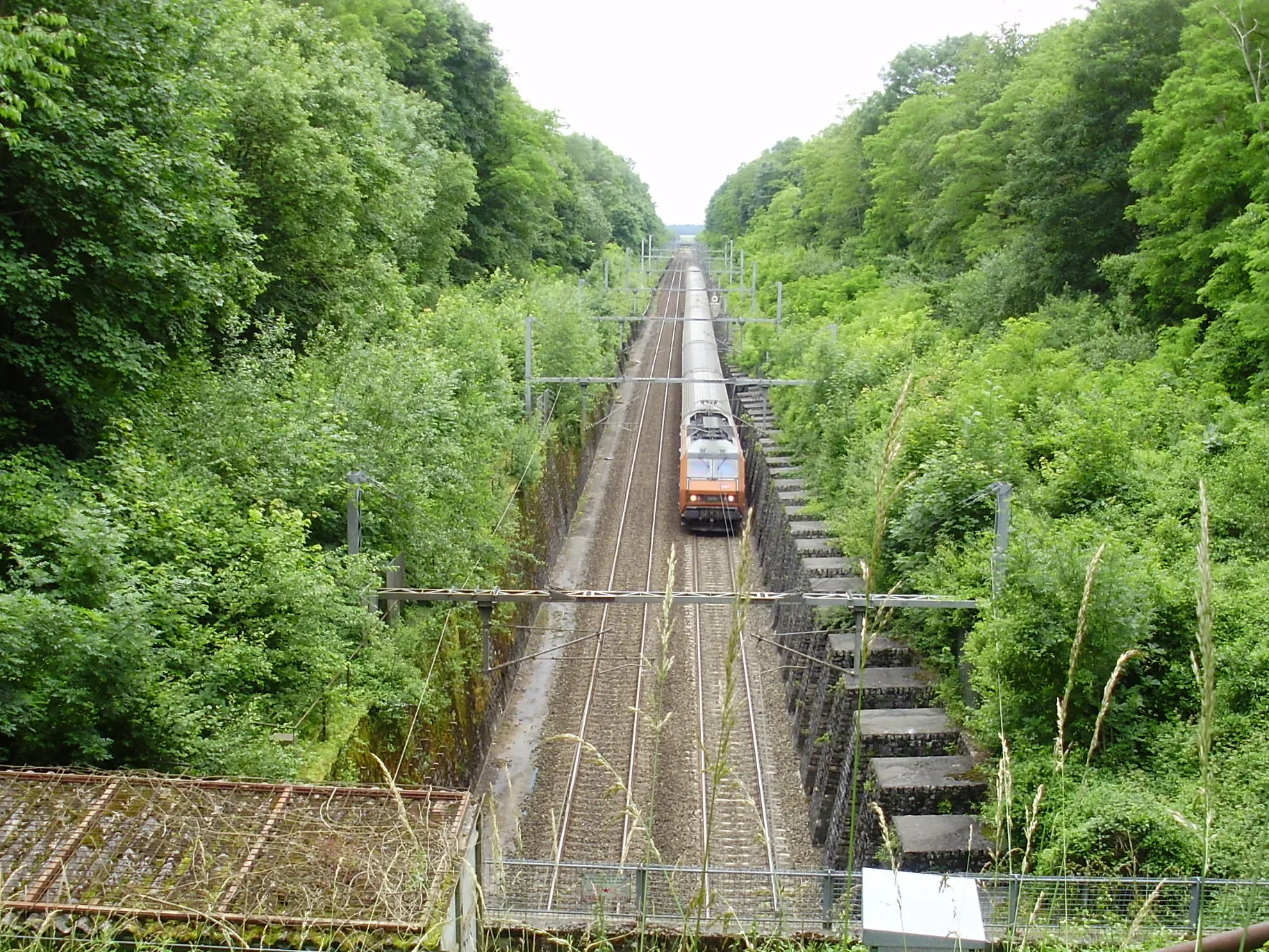 Photo showing: Tunnel de Bréval, tranchée ouest sur le territoire de Bréval, Yvelines, France, avec un train se dirigeant vers Paris-Saint-Lazare s'apprêtant à pénétrer dans le tunnel.