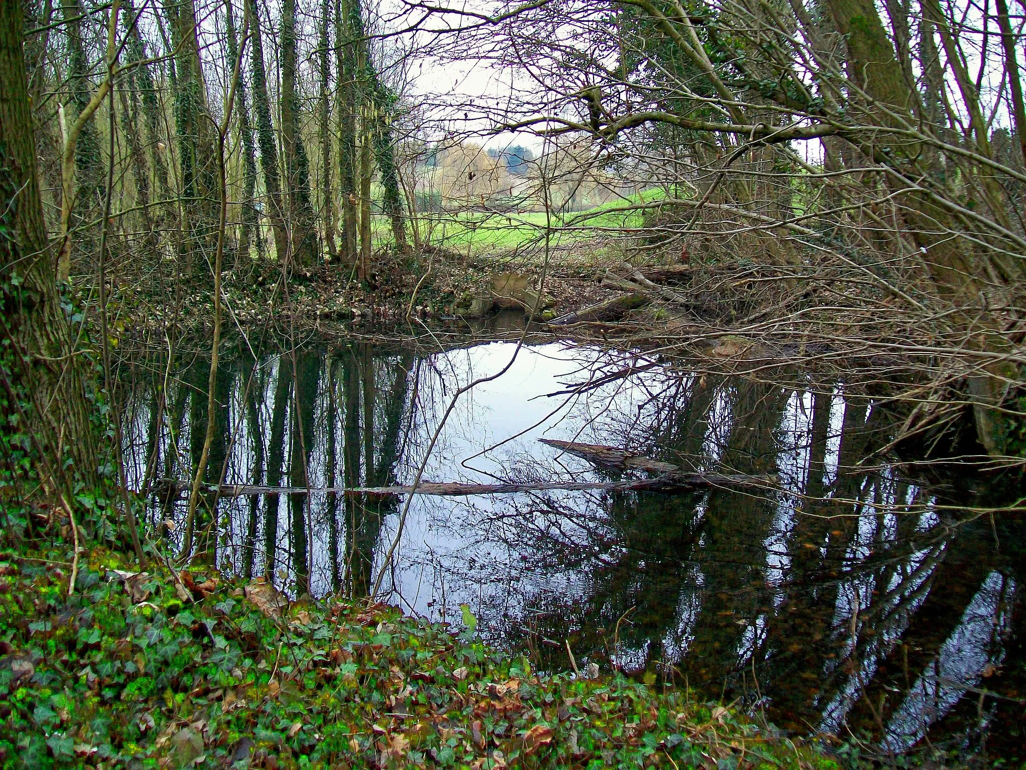 Photo showing: Source au sud-ouest du village, près de la rue de Jagny. Elle alimente un ruisseau qui se jete dans l'Ysieux.