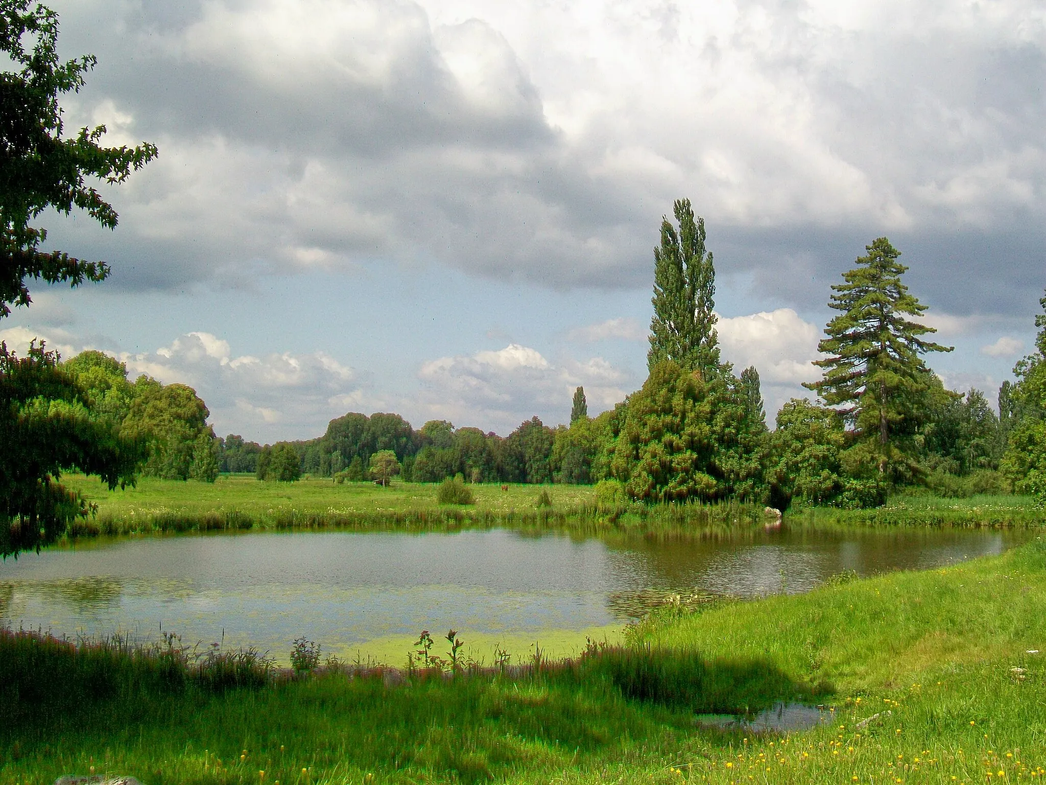 Photo showing: Le parc du château, avec l'un des étangs.