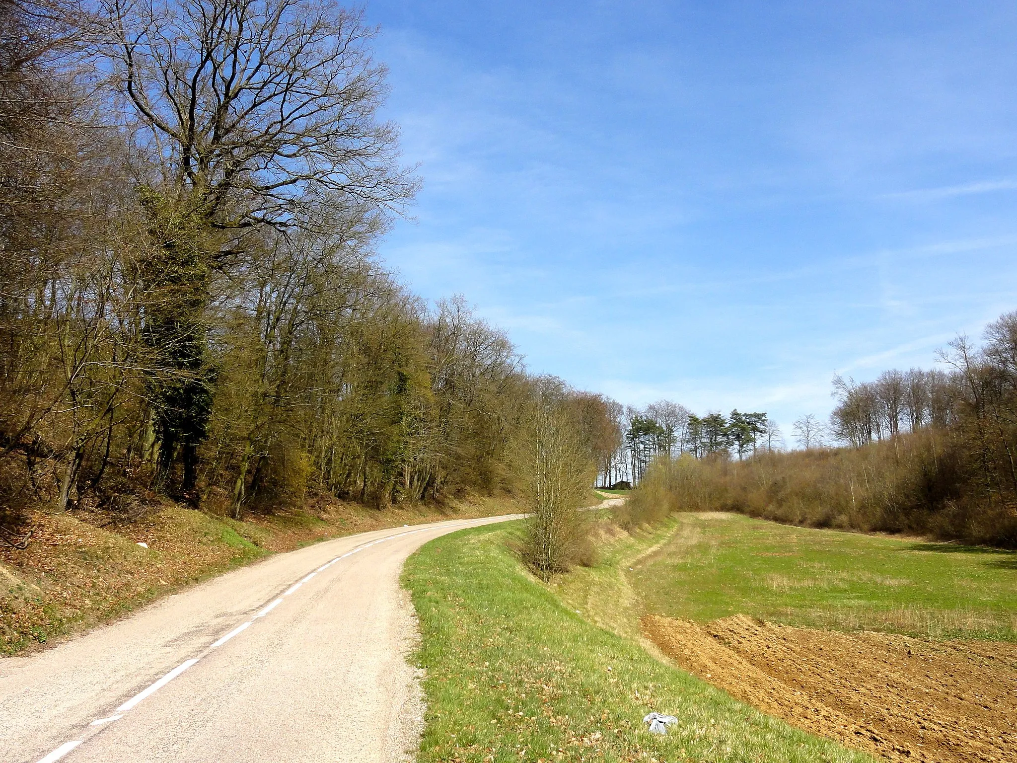 Photo showing: RD 89 à l'est du village.