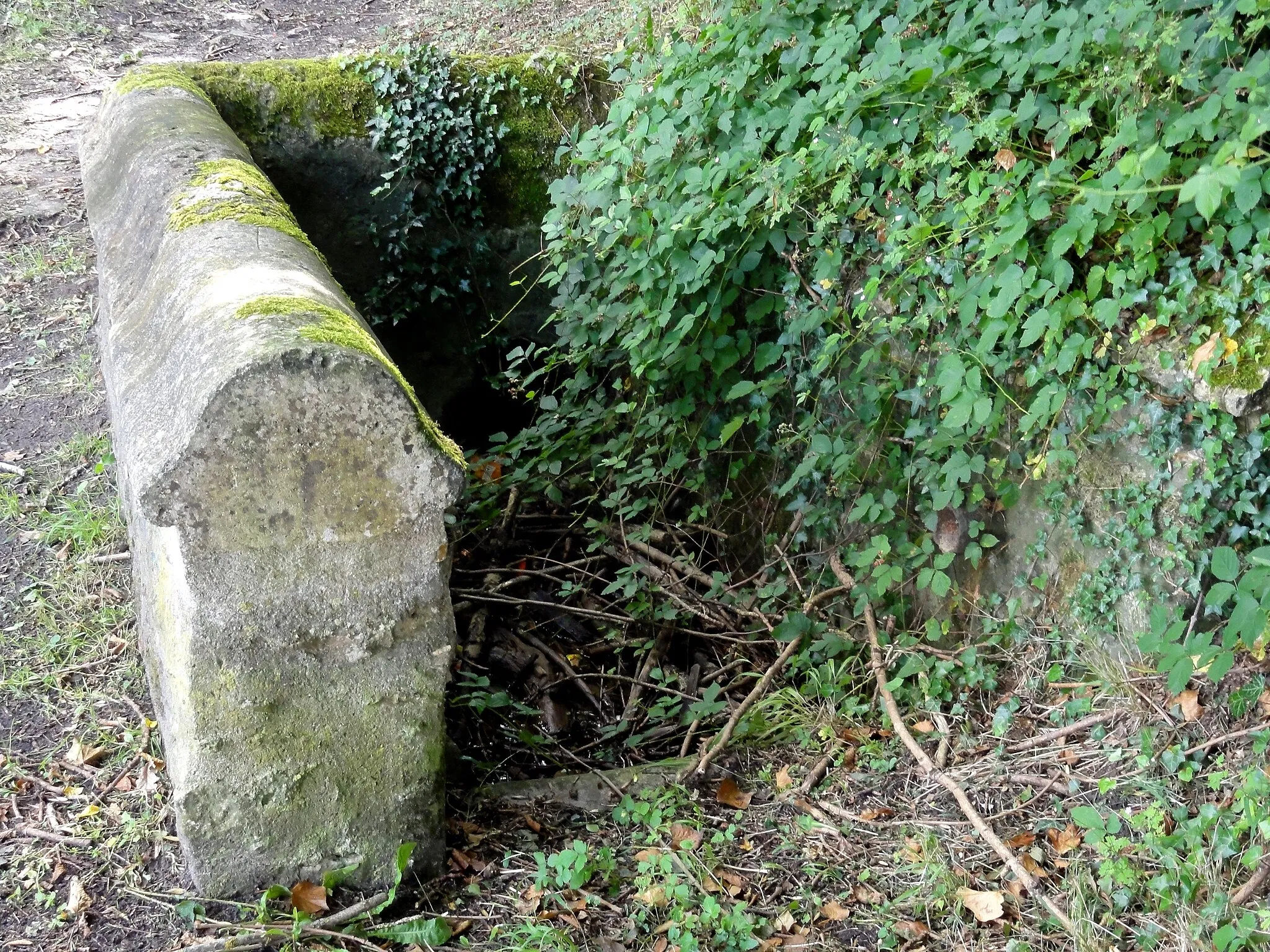 Photo showing: Source, sentier de la Fontaine.