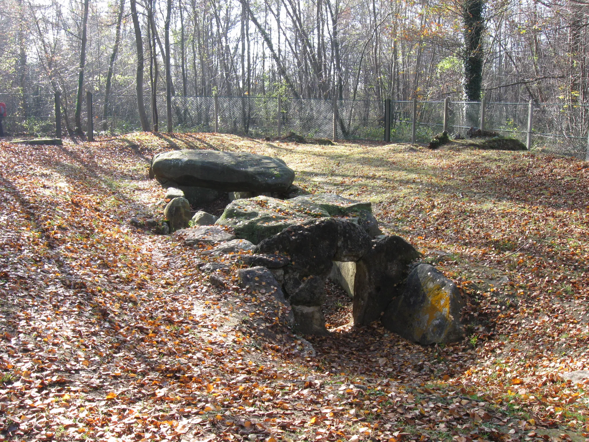 Photo showing: L'allée couverte de la Pierre Plate à l’orée de la forêt de l’Isle Adam (Presles, Val d'Oise).