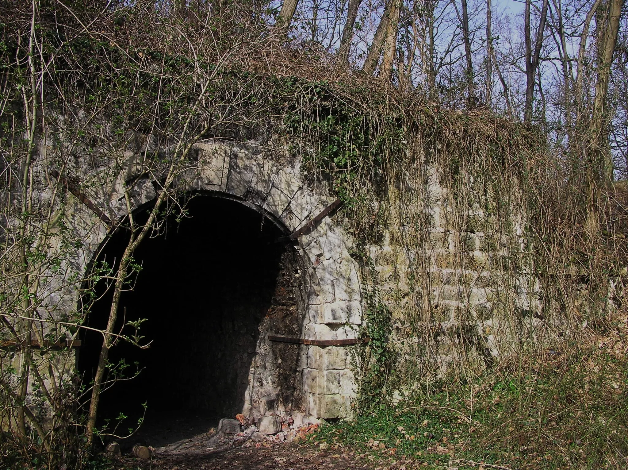 Photo showing: Batterie du Ravin de Bouviers mars 2008