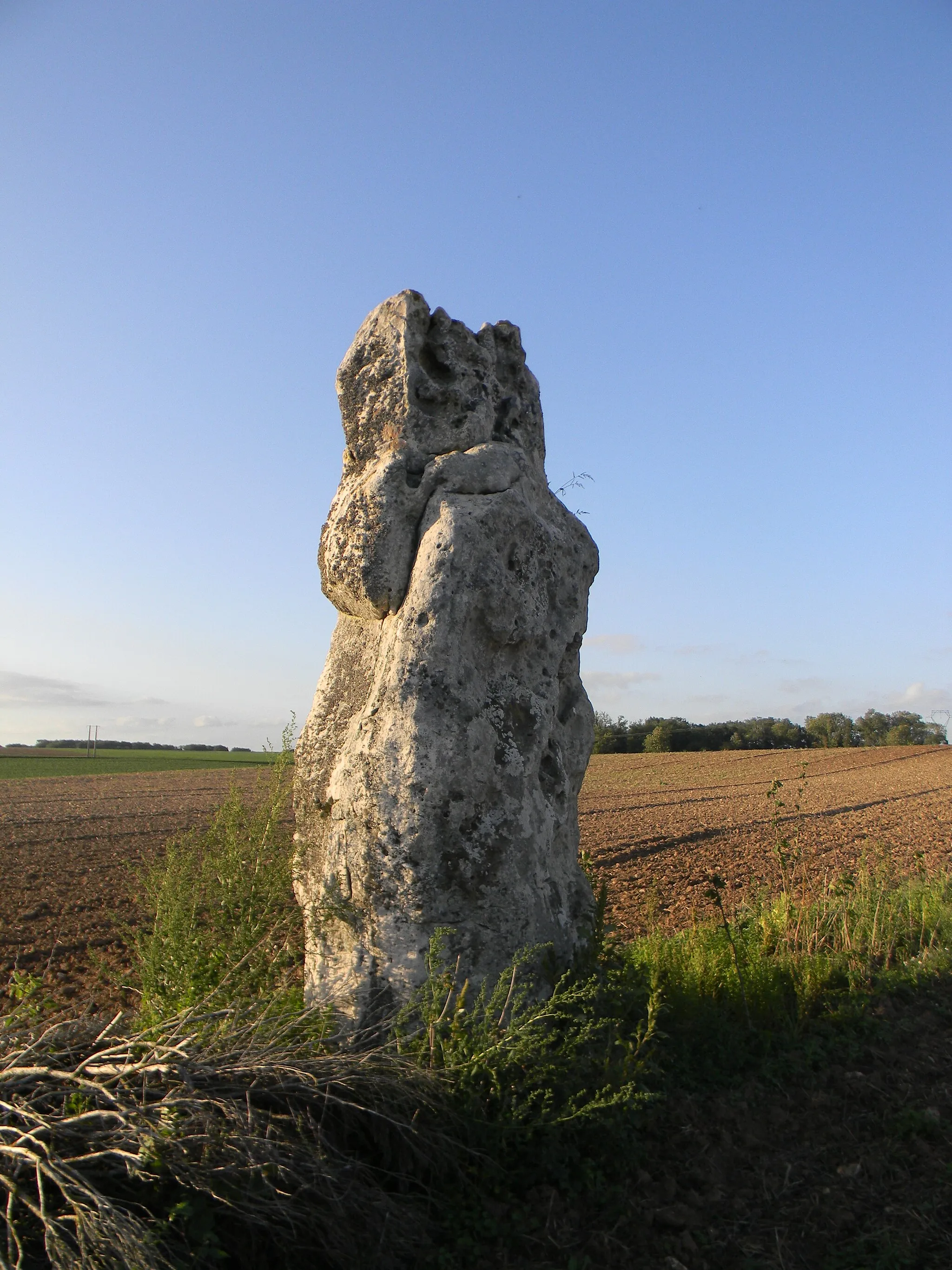 Photo showing: Menhir dit La Pierre Clouée de Nanteau-sur-Lunain (77710).