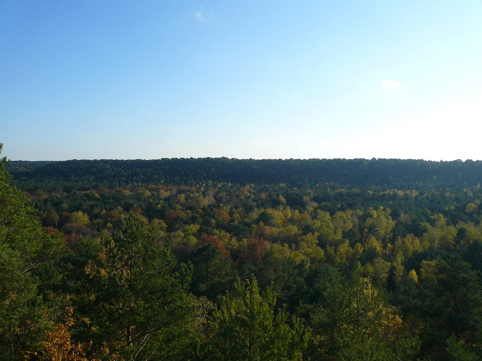Photo showing: Panorama sur la vallée d'Arbonne, en forêt domaniale des Trois Pignons (Seine-et-Marne, France)