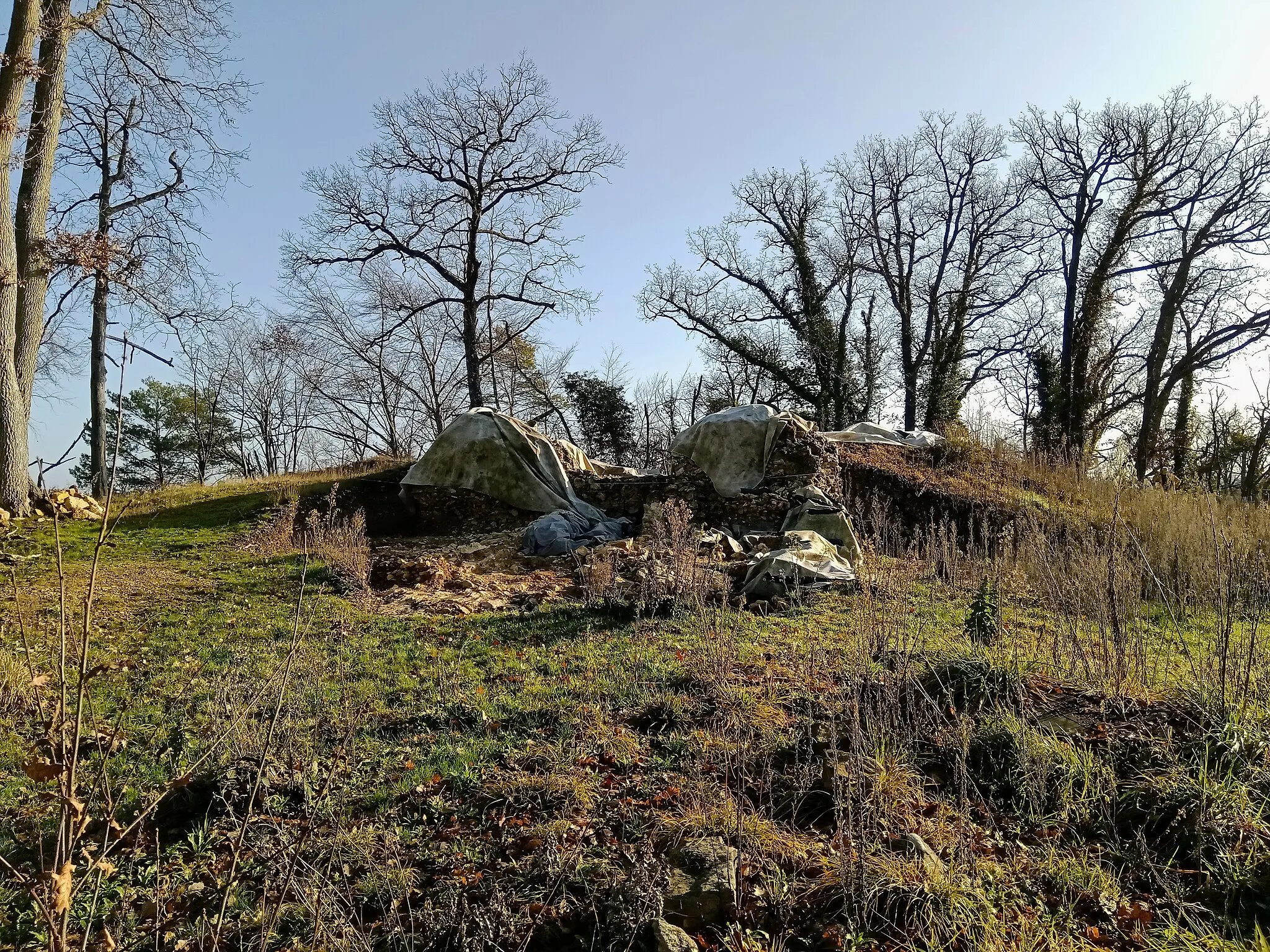 Photo showing: Fouilles à la butte Saint-Louis, Fontainebleau, Seine-et-Marne, France