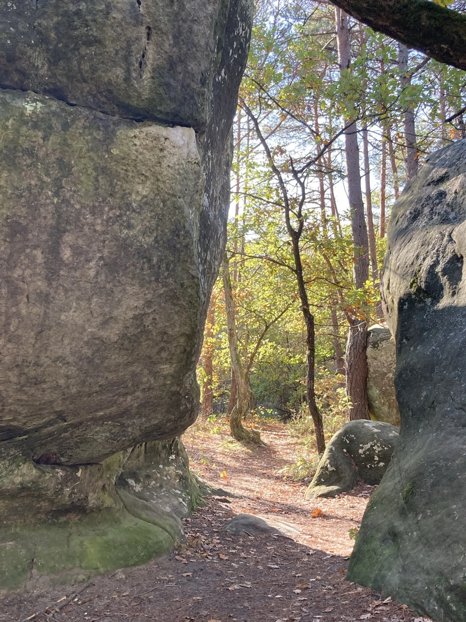 Photo showing: Larchant rock formation forêt de la Commanderie