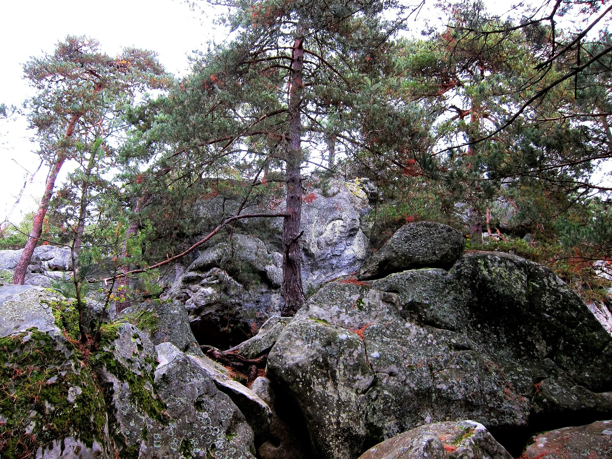 Photo showing: Rocher de Dame-Jouanne, Larchant