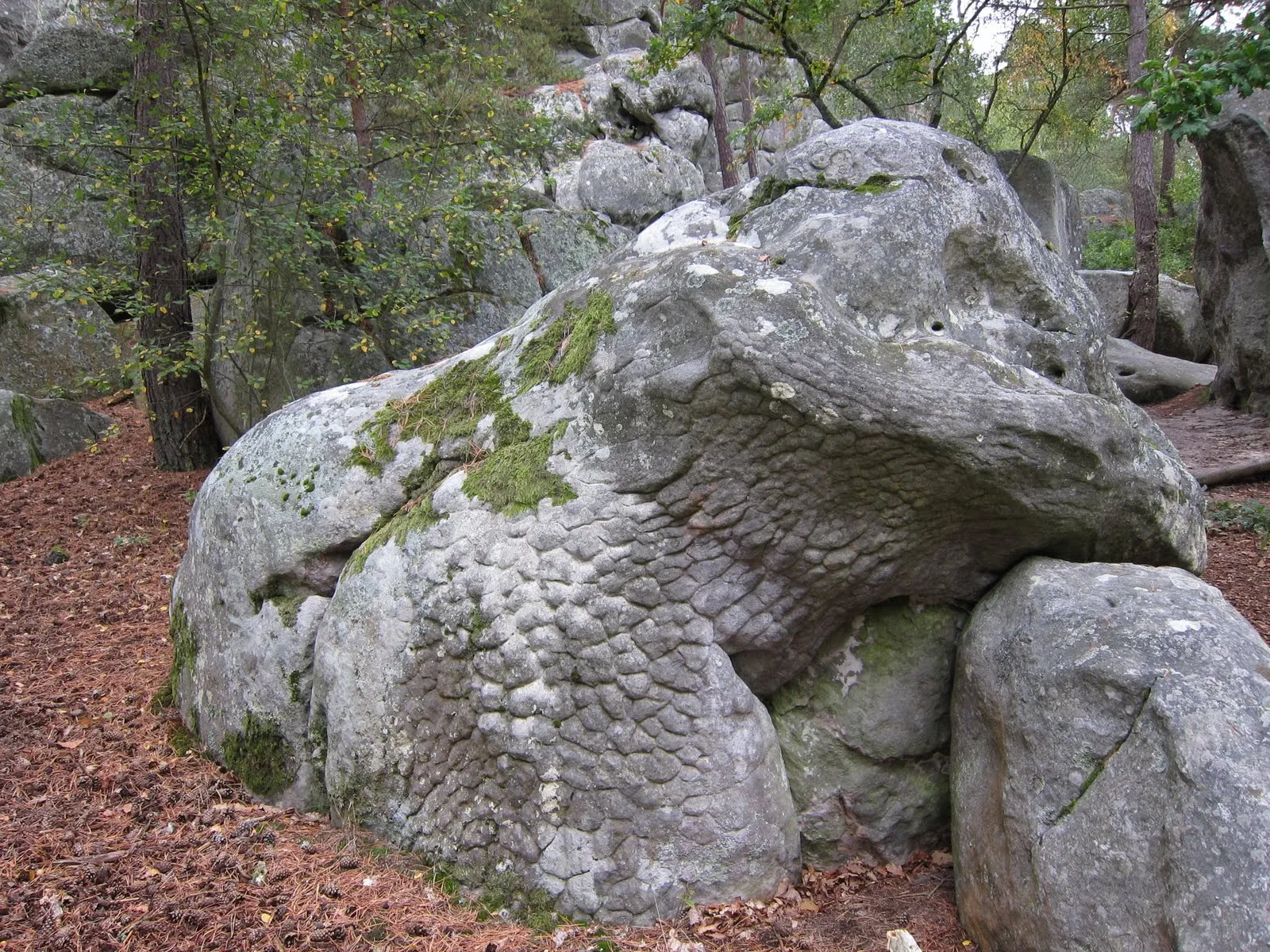 Photo showing: A rock like a prehistoric lizard, Rocher de Dame-Jouanne