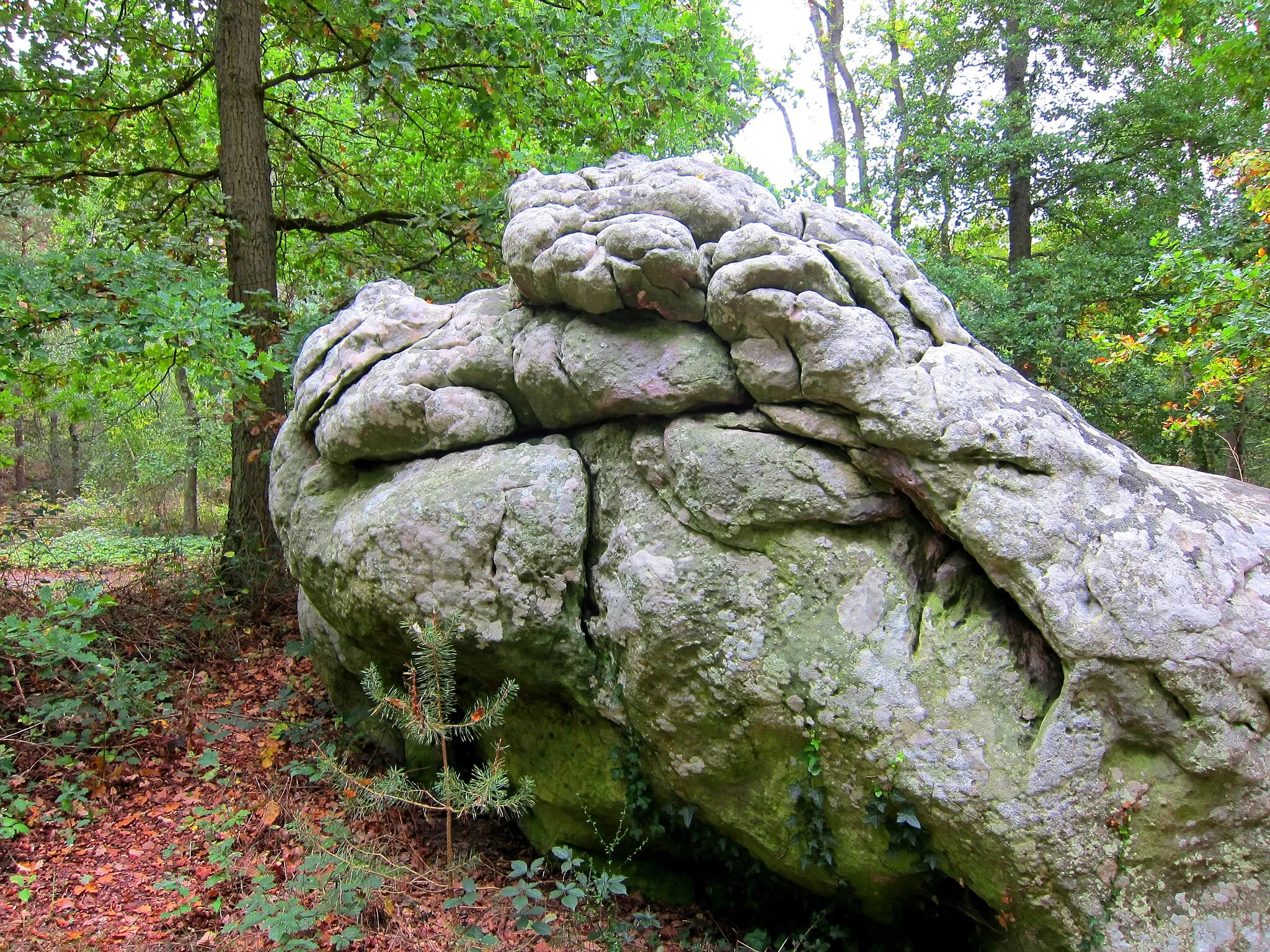 Photo showing: Organic Rock forms - Rocher de Dame-Jouanne