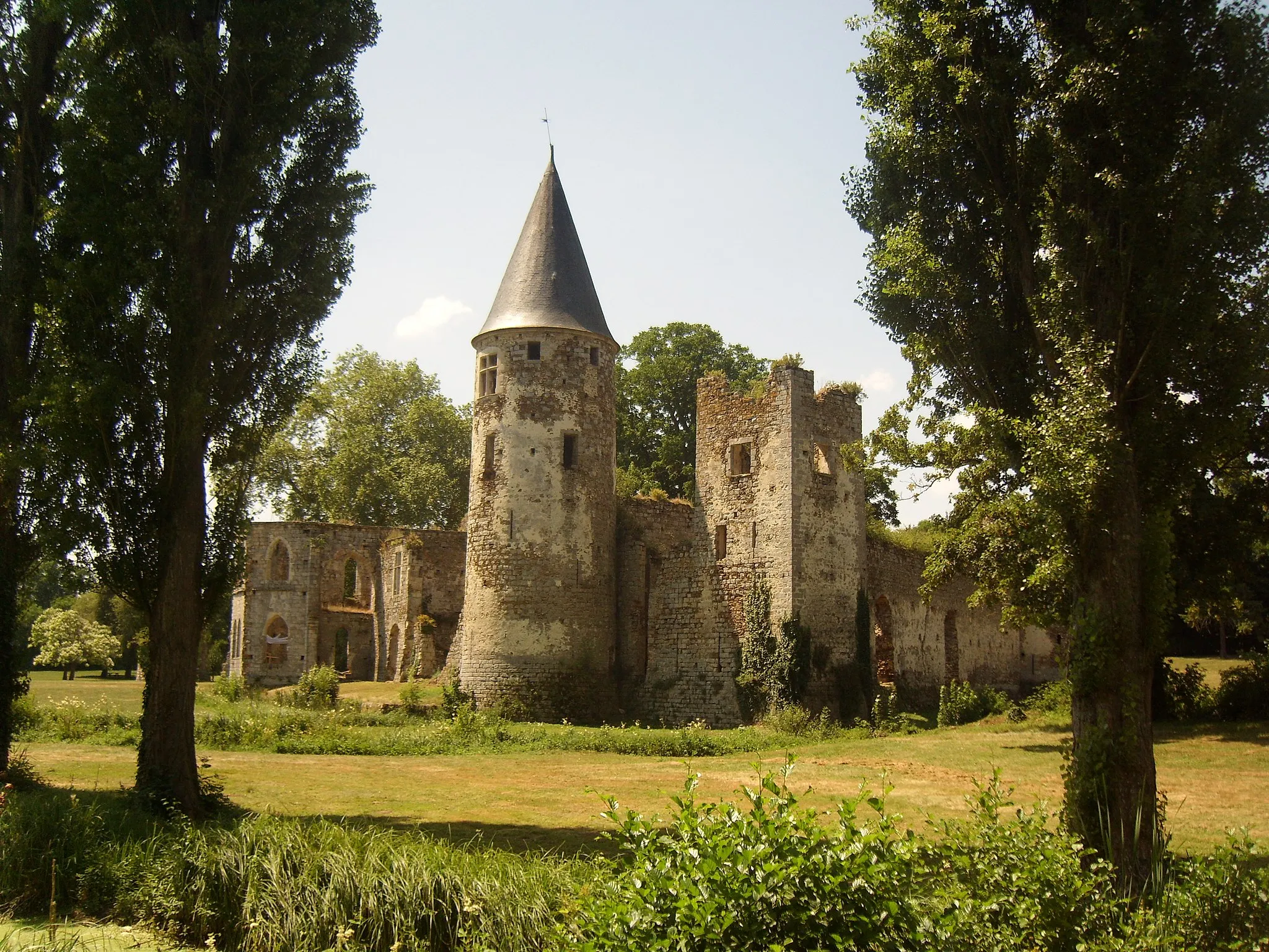 Photo showing: The royal Castle of the Vivier