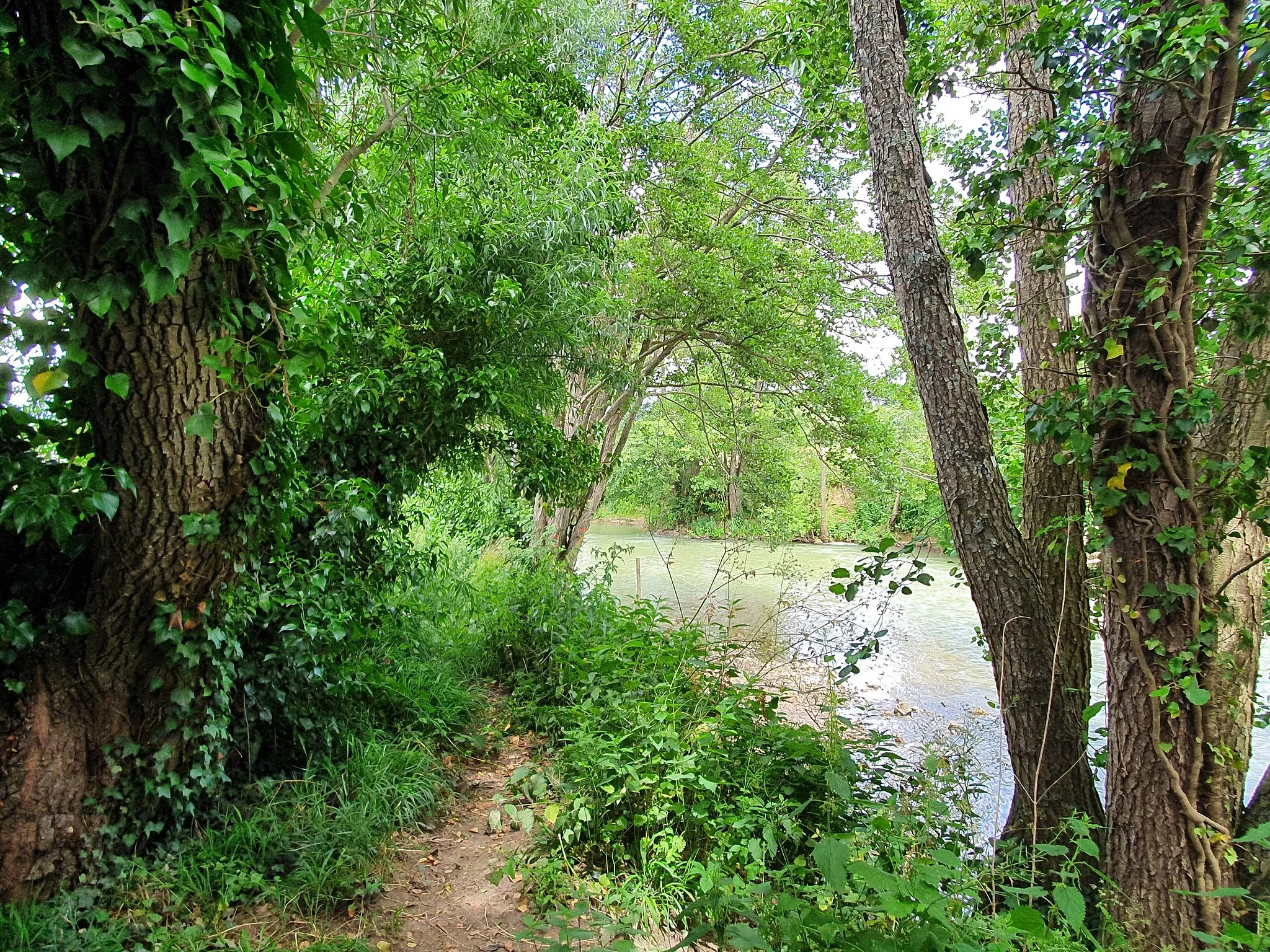 Photo showing: Picture of the Grand Morin, Seine-et-Morin, Seine-et-Marne, France