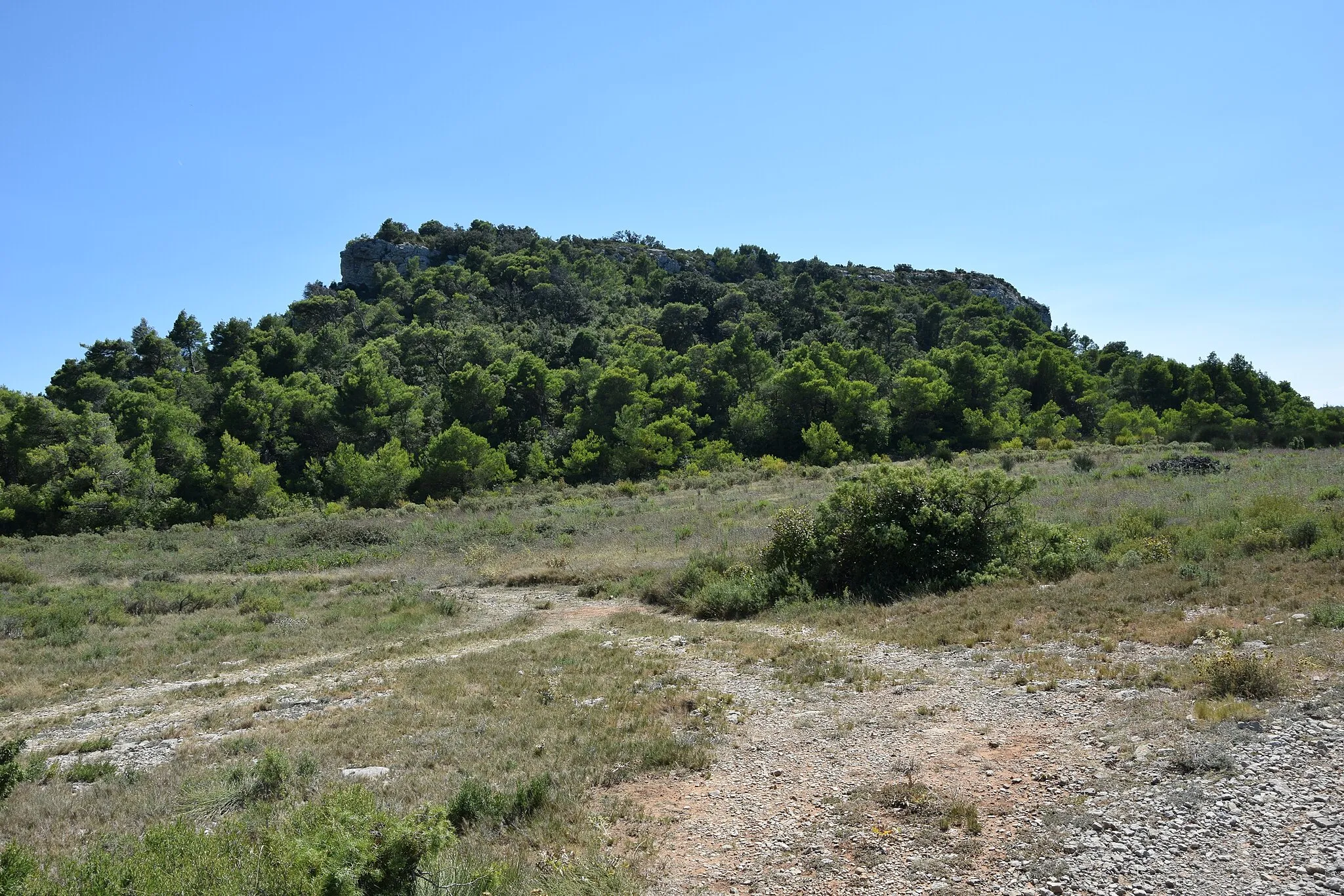 Photo showing: Pech Redon, Massif de la Clape, south of France