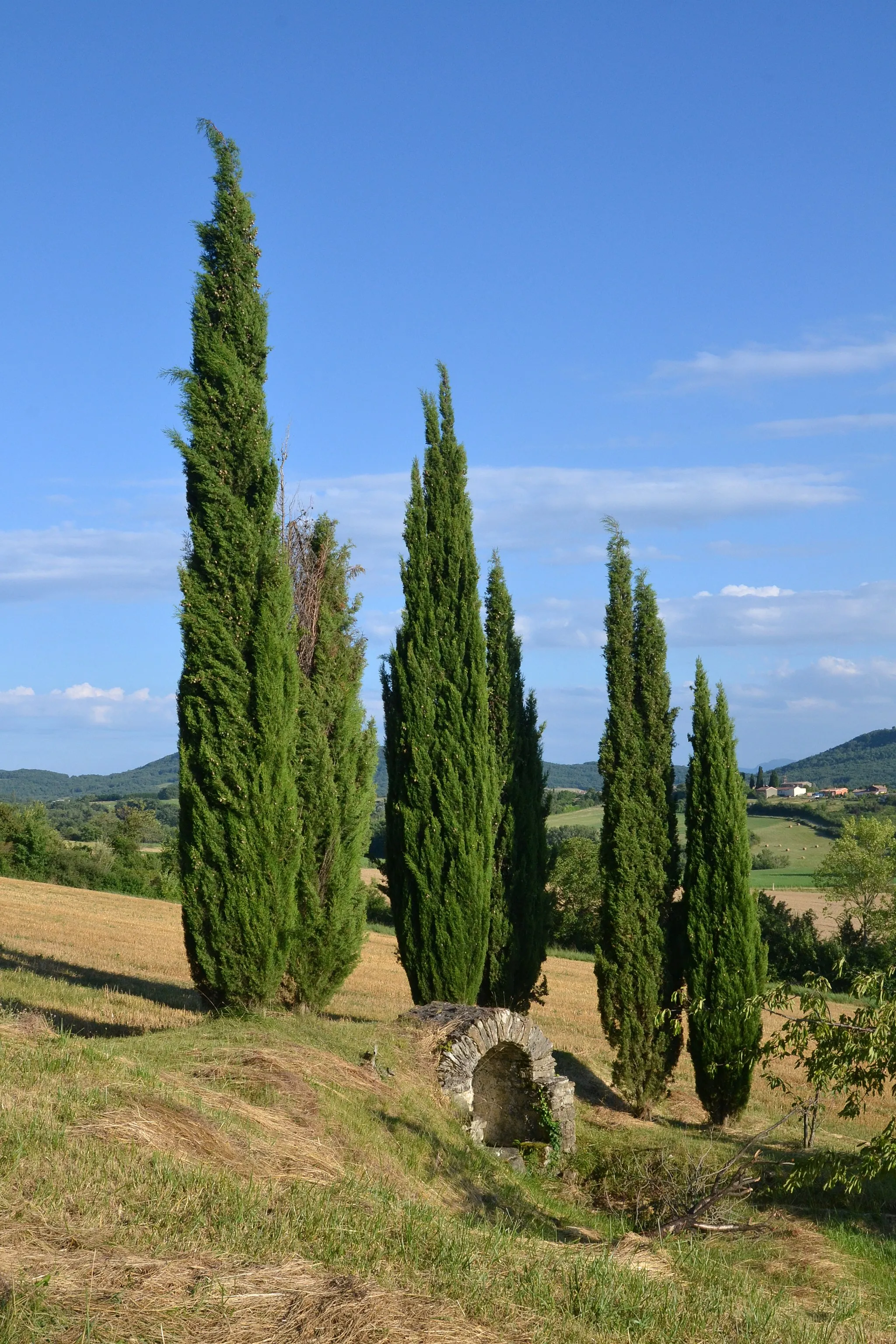 Photo showing: Fontaine près du Cazal des Faures, commune de Moulin-Neuf (Ariège, France).