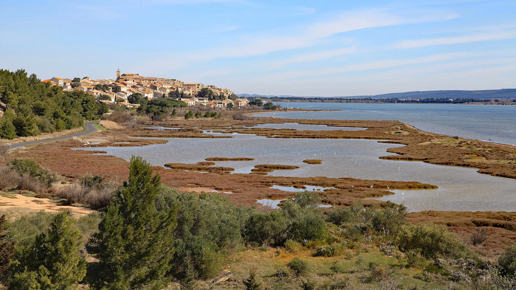 Photo showing: Bages (11) vu du sud-est.