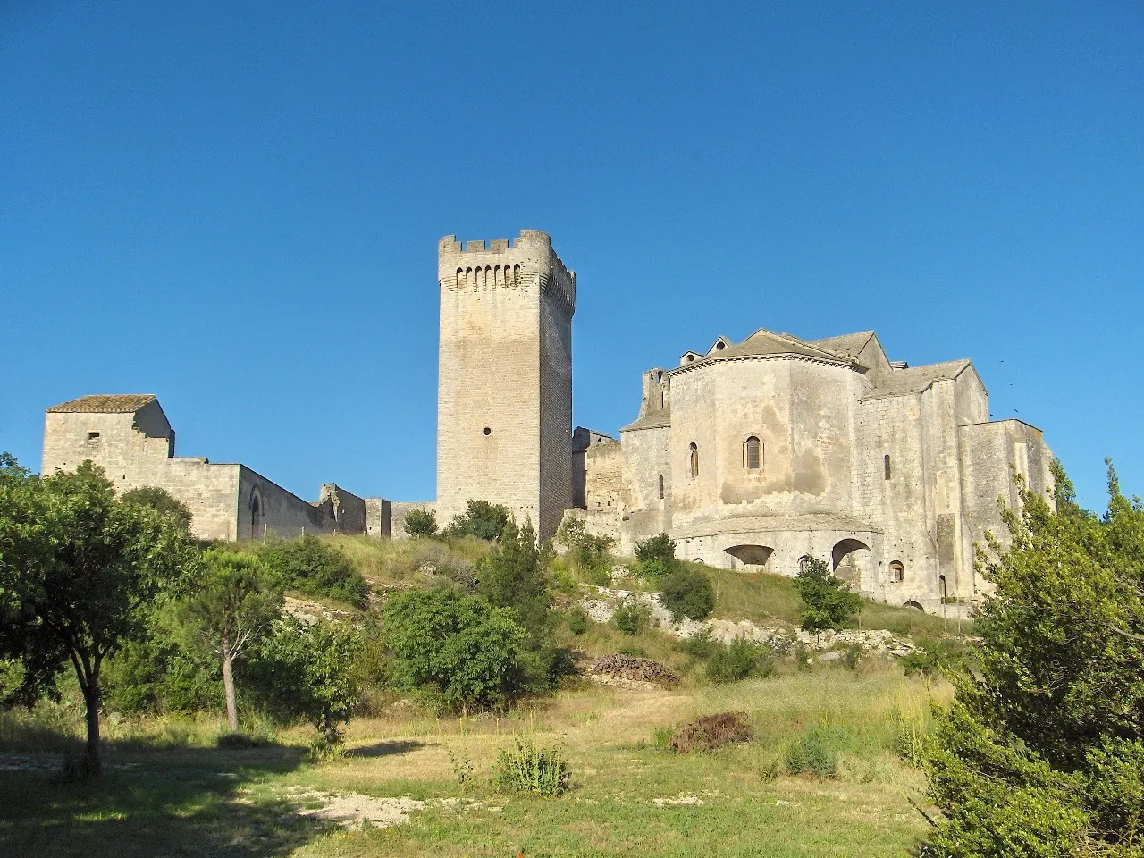 Photo showing: Montmajour Abbey (East Side)