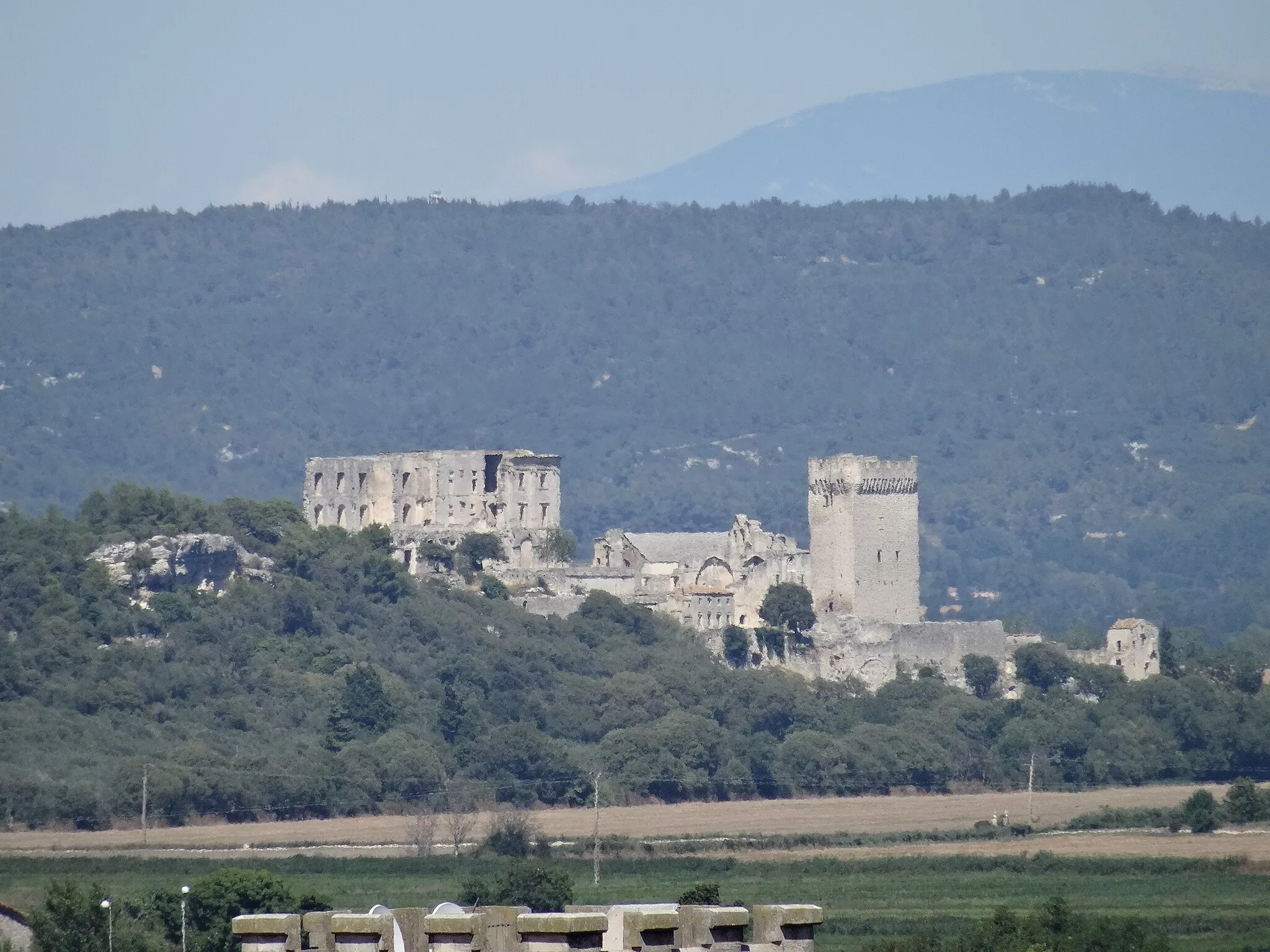 Photo showing: Abbaye de Montmajour (Classé Classé) vue des Arènes d'Arles