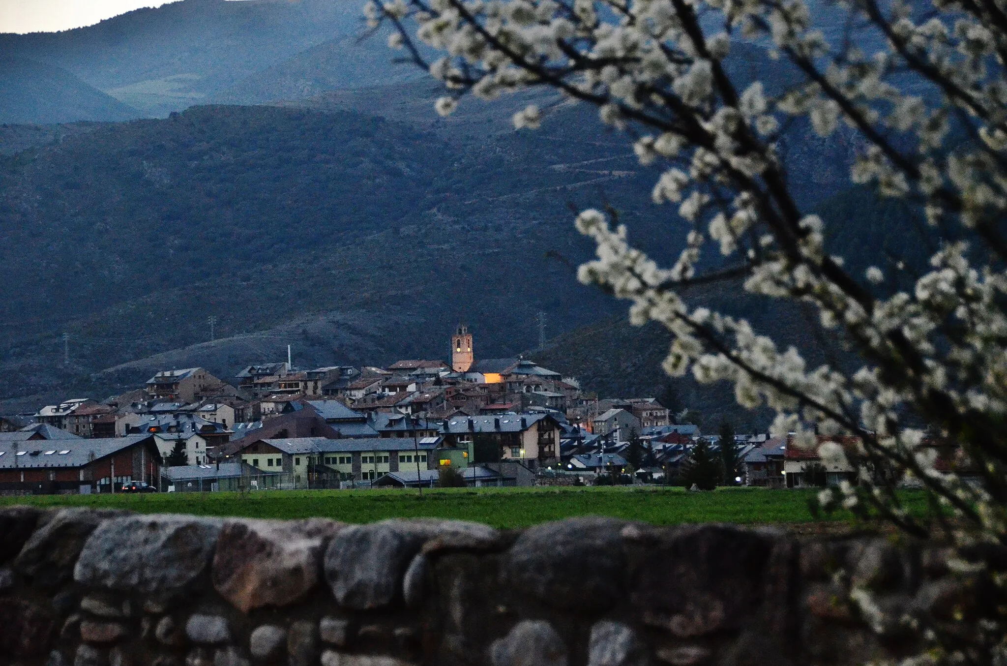 Photo showing: Nocturna de Bellver de Cerdanya