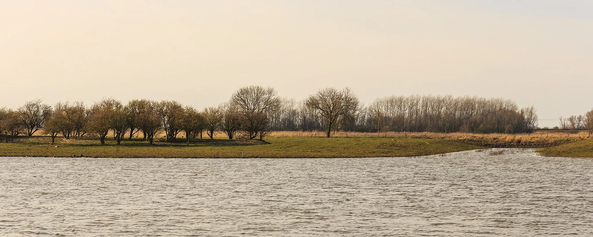 Photo showing: View from Bird observation De Krakeend. Location, Oostvaardersplassen in the Netherlands.